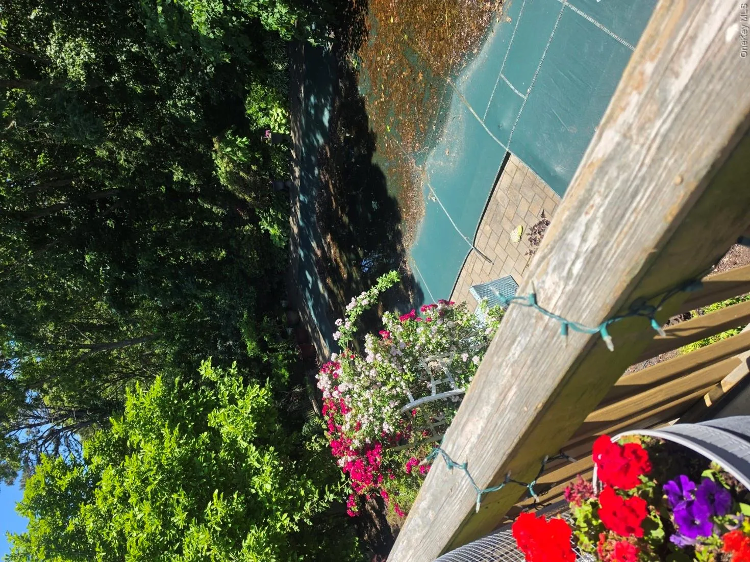 35 Kennedy Drive, Brookhaven, NY, 4 Bedrooms Bedrooms, 6 Rooms Rooms,1 BathroomBathrooms,Residential,For Rent,Kennedy,0,1047373 35 Kennedy Drive, Brookhaven, NY, 4 Bedrooms Bedrooms, 6 Rooms Rooms,1 BathroomBathrooms,Residential,For Rent,Kennedy,0,1047373