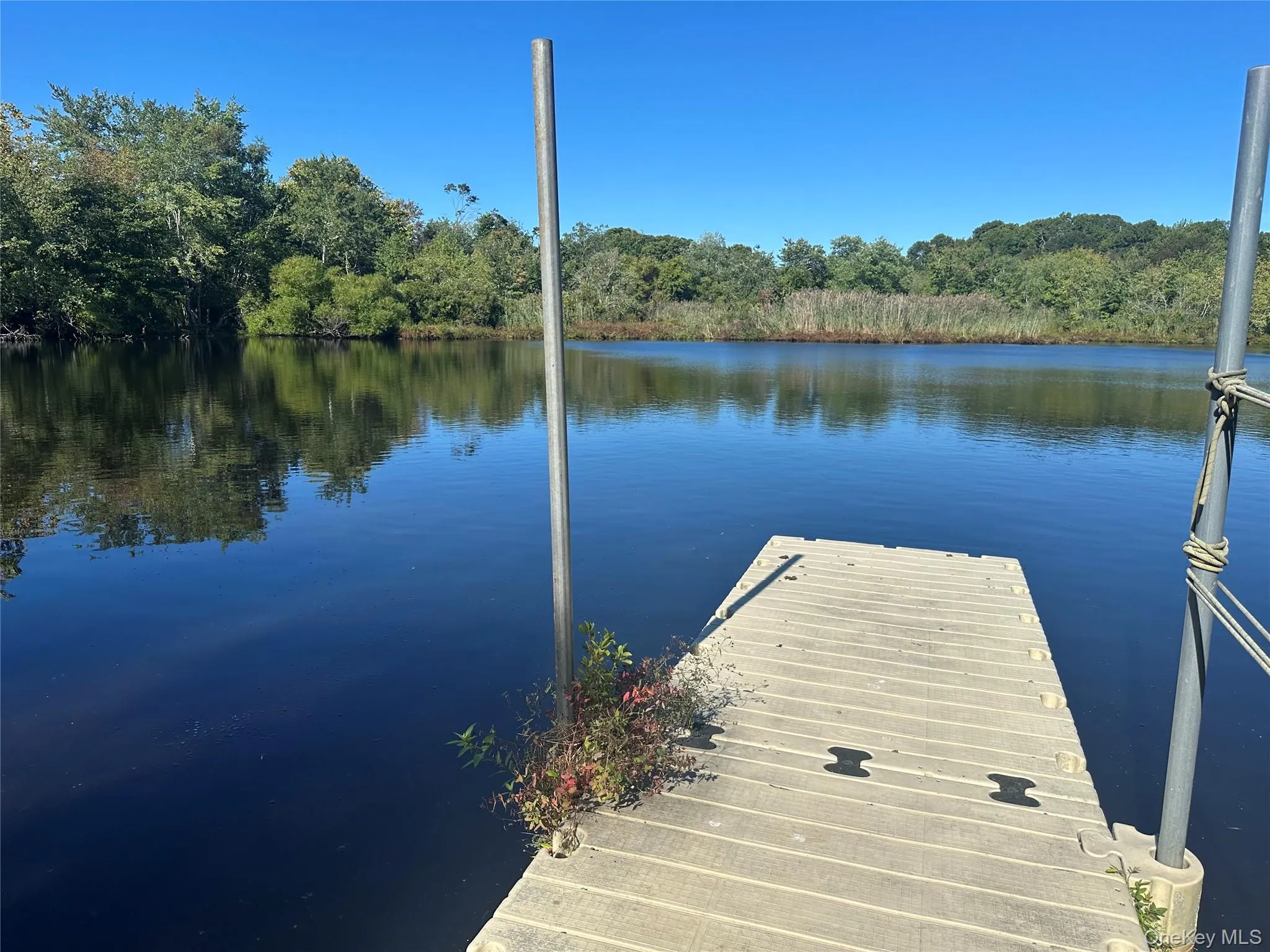 970 Main Street, Riverhead, NY, 3 Bedrooms Bedrooms, 7 Rooms Rooms,1 BathroomBathrooms,Residential,For Rent,Main,0,1047424 970 Main Street, Riverhead, NY, 3 Bedrooms Bedrooms, 7 Rooms Rooms,1 BathroomBathrooms,Residential,For Rent,Main,0,1047424
