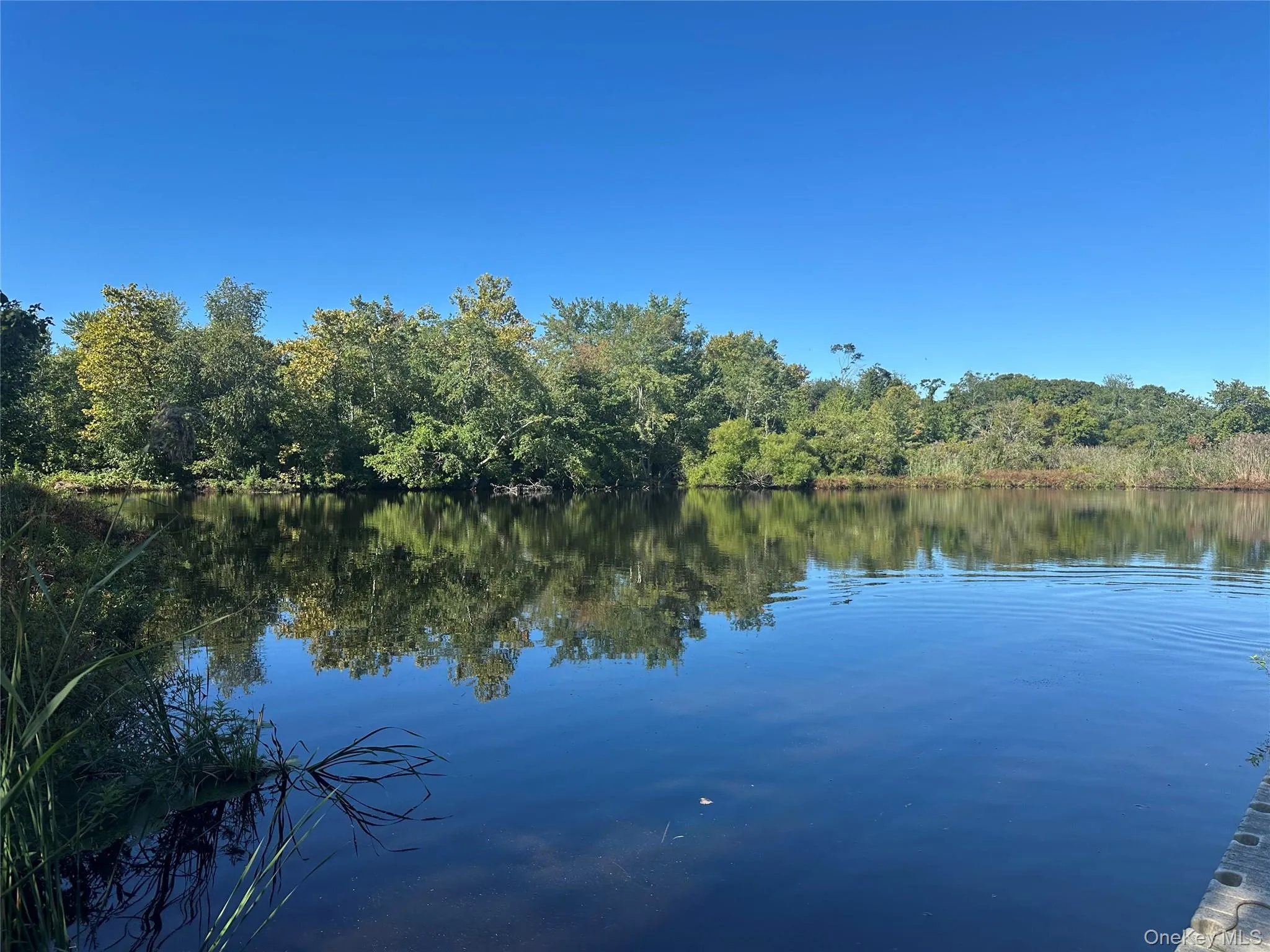 970 Main Street, Riverhead, NY, 3 Bedrooms Bedrooms, 7 Rooms Rooms,1 BathroomBathrooms,Residential,For Rent,Main,0,1047424 970 Main Street, Riverhead, NY, 3 Bedrooms Bedrooms, 7 Rooms Rooms,1 BathroomBathrooms,Residential,For Rent,Main,0,1047424