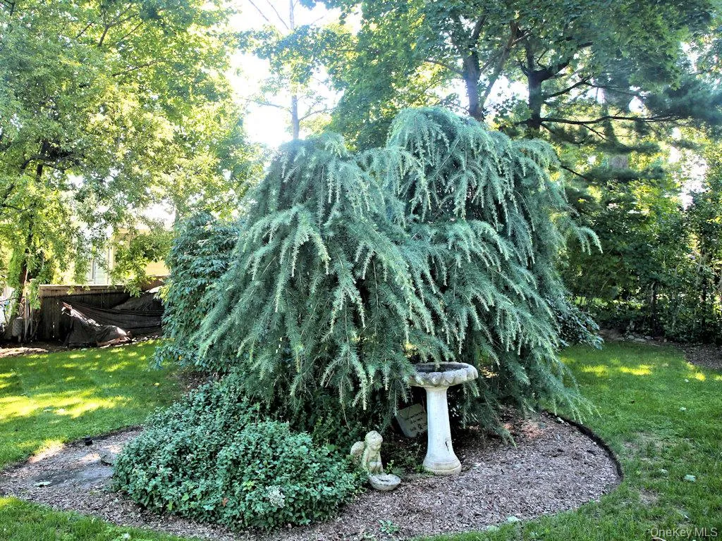 1315 Langdon Lane, Mamaroneck, NY, 3 Bedrooms Bedrooms, 6 Rooms Rooms,2 BathroomsBathrooms,Residential,For Rent,Langdon,0,1047430 1315 Langdon Lane, Mamaroneck, NY, 3 Bedrooms Bedrooms, 6 Rooms Rooms,2 BathroomsBathrooms,Residential,For Rent,Langdon,0,1047430