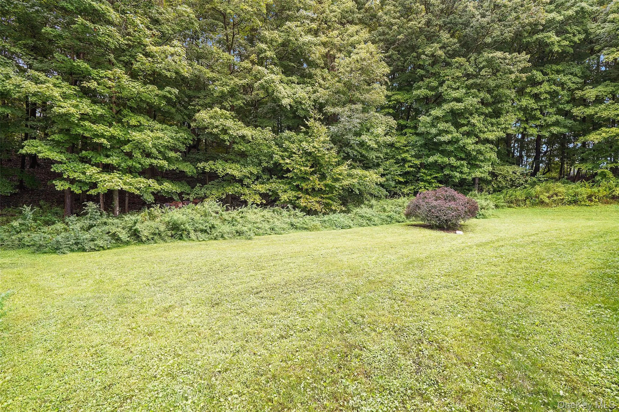 18 Bray Farm Lane, La Grange, NY, 4 Bedrooms Bedrooms, 13 Rooms Rooms,2 BathroomsBathrooms,Residential,For Rent,Bray Farm,0,1047464 18 Bray Farm Lane, La Grange, NY, 4 Bedrooms Bedrooms, 13 Rooms Rooms,2 BathroomsBathrooms,Residential,For Rent,Bray Farm,0,1047464