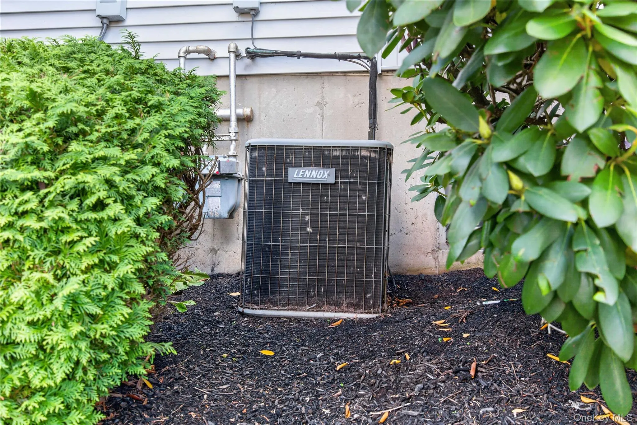 42 Natale Court, Monroe, NY, 3 Bedrooms Bedrooms, 6 Rooms Rooms,2 BathroomsBathrooms,Residential,For Rent,Natale,0,1047470 42 Natale Court, Monroe, NY, 3 Bedrooms Bedrooms, 6 Rooms Rooms,2 BathroomsBathrooms,Residential,For Rent,Natale,0,1047470