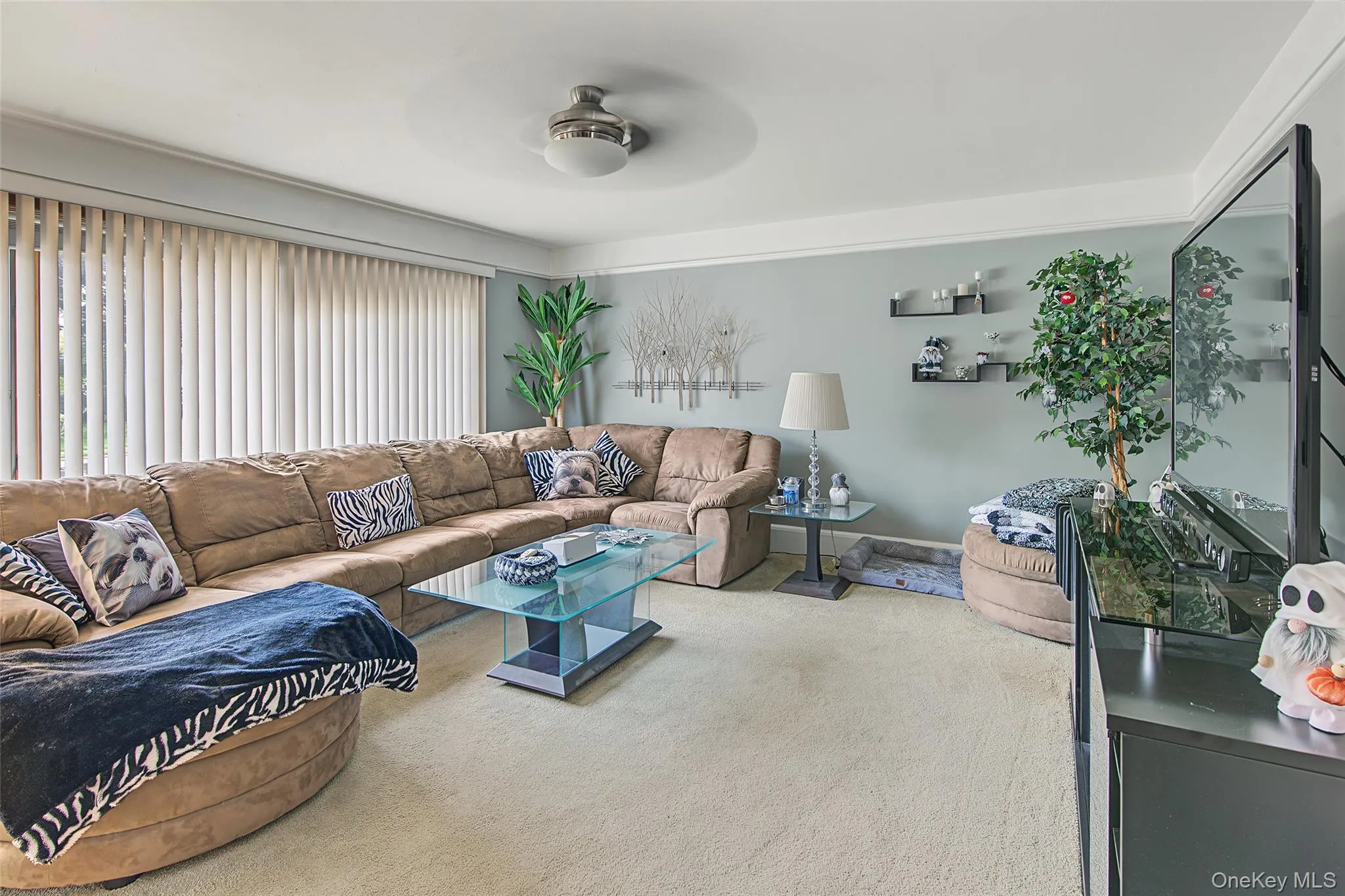 105 Nathan Drive, Islip, NY, 4 Bedrooms Bedrooms, 7 Rooms Rooms,2 BathroomsBathrooms,Residential,For Rent,Nathan,0,1047512 105 Nathan Drive, Islip, NY, 4 Bedrooms Bedrooms, 7 Rooms Rooms,2 BathroomsBathrooms,Residential,For Rent,Nathan,0,1047512