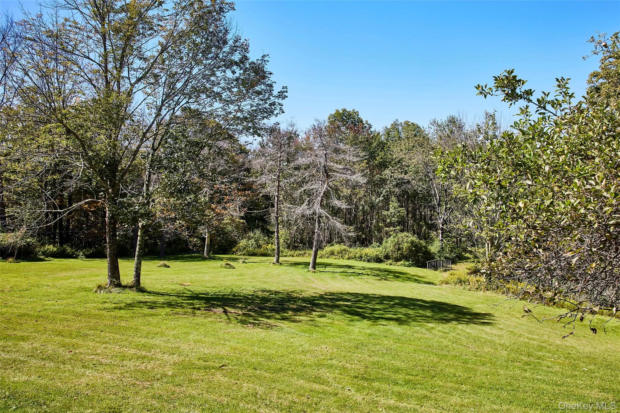 50 Hahn Road, Callicoon, NY, 3 Bedrooms Bedrooms, 6 Rooms Rooms,2 BathroomsBathrooms,Residential,For Rent,Hahn,0,1047519 50 Hahn Road, Callicoon, NY, 3 Bedrooms Bedrooms, 6 Rooms Rooms,2 BathroomsBathrooms,Residential,For Rent,Hahn,0,1047519