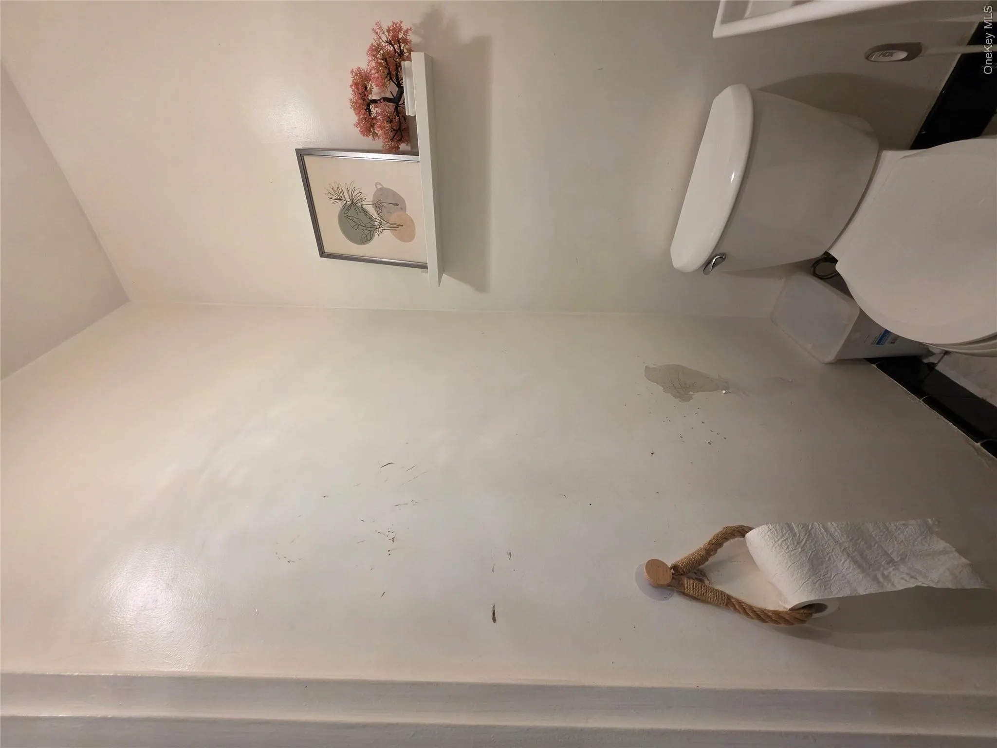 2570 Pearsall Avenue, New York, NY, 3 Bedrooms Bedrooms, 8 Rooms Rooms,2 BathroomsBathrooms,Residential,For Rent,Pearsall,0,1047544 2570 Pearsall Avenue, New York, NY, 3 Bedrooms Bedrooms, 8 Rooms Rooms,2 BathroomsBathrooms,Residential,For Rent,Pearsall,0,1047544