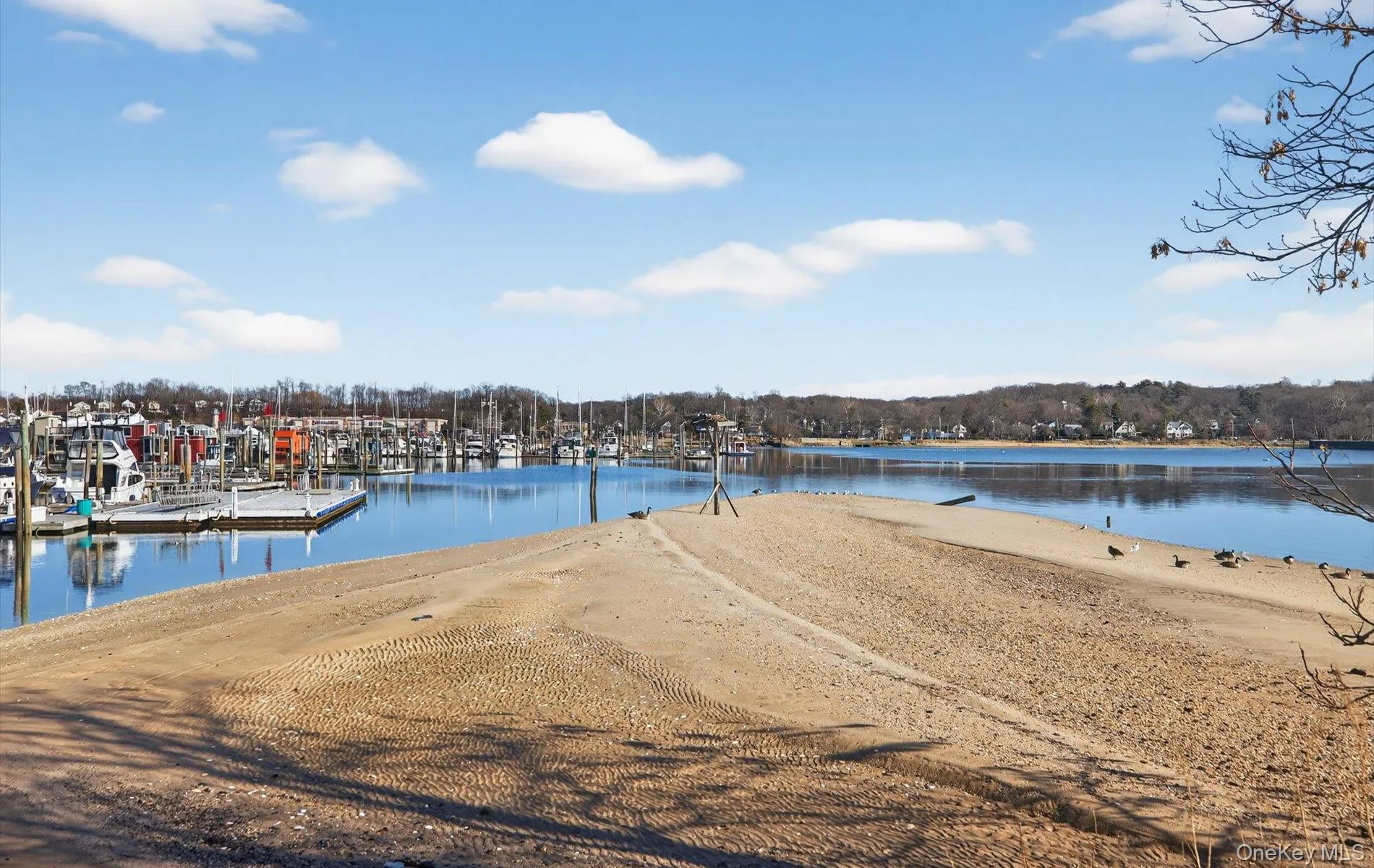 1 Toms Point Lane, North Hempstead, NY, 1 Bedroom Bedrooms, 3 Rooms Rooms,1 BathroomBathrooms,Residential,For Rent,Toms Point,0,1047574 1 Toms Point Lane, North Hempstead, NY, 1 Bedroom Bedrooms, 3 Rooms Rooms,1 BathroomBathrooms,Residential,For Rent,Toms Point,0,1047574