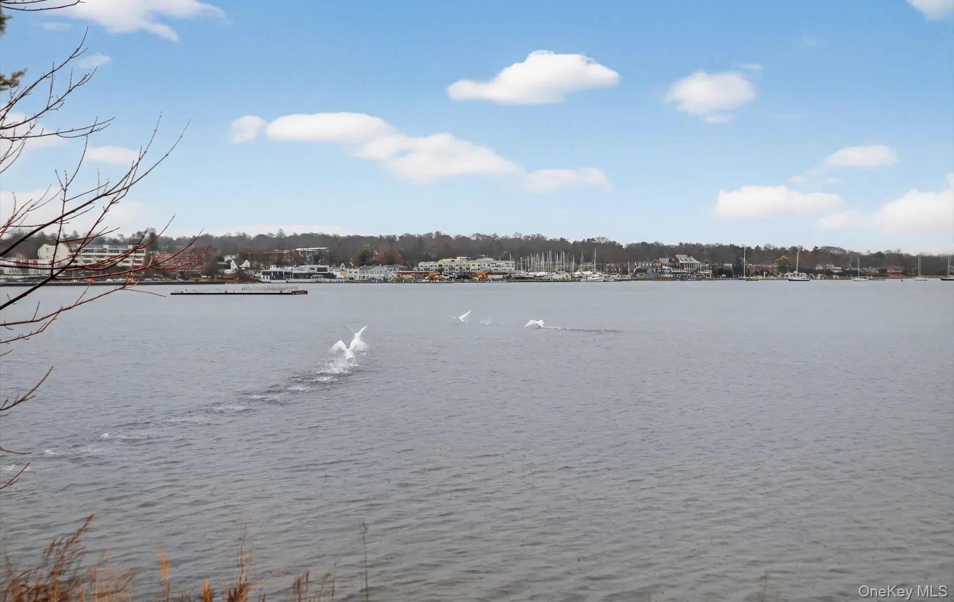1 Toms Point Lane, North Hempstead, NY, 1 Bedroom Bedrooms, 3 Rooms Rooms,1 BathroomBathrooms,Residential,For Rent,Toms Point,0,1047574 1 Toms Point Lane, North Hempstead, NY, 1 Bedroom Bedrooms, 3 Rooms Rooms,1 BathroomBathrooms,Residential,For Rent,Toms Point,0,1047574