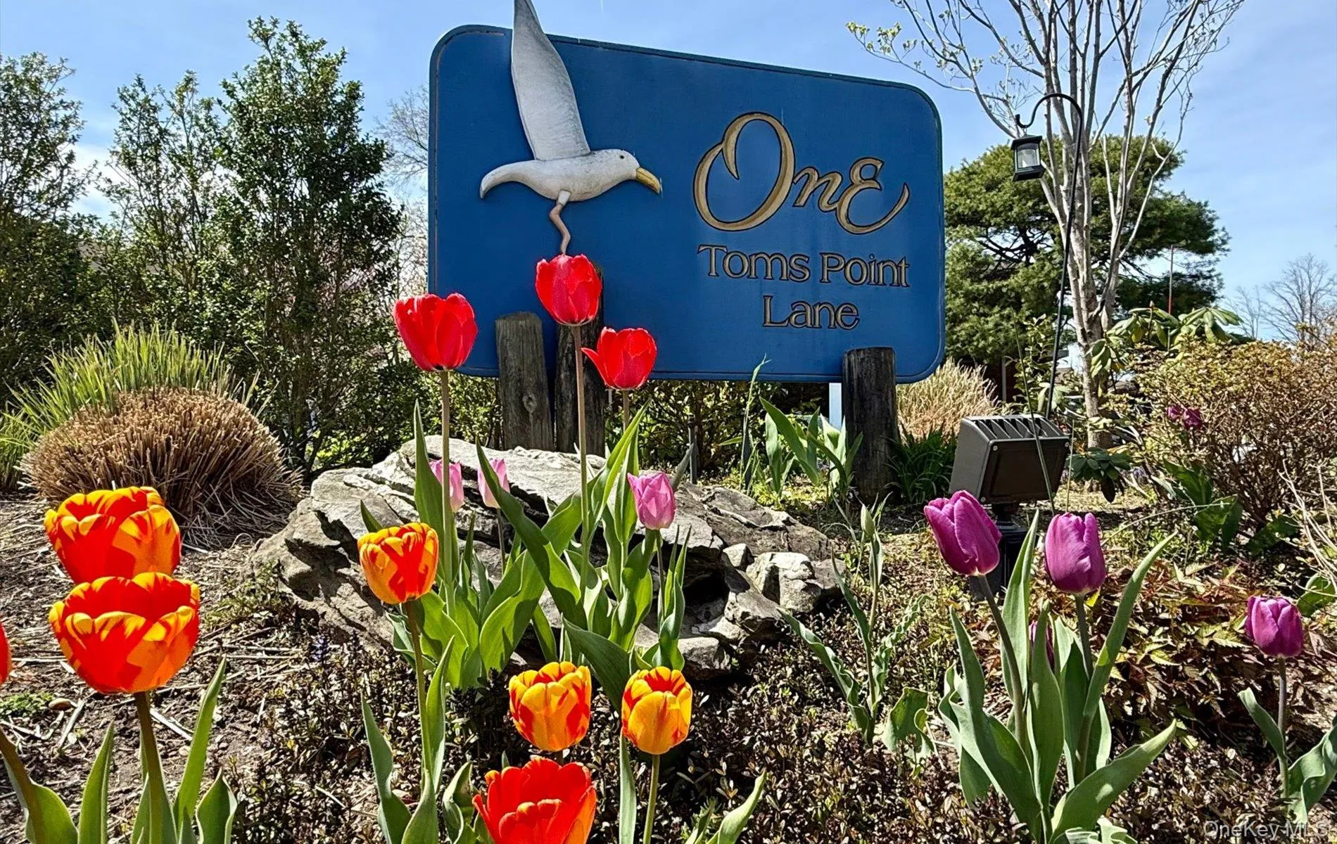 1 Toms Point Lane, North Hempstead, NY, 1 Bedroom Bedrooms, 3 Rooms Rooms,1 BathroomBathrooms,Residential,For Rent,Toms Point,0,1047574 1 Toms Point Lane, North Hempstead, NY, 1 Bedroom Bedrooms, 3 Rooms Rooms,1 BathroomBathrooms,Residential,For Rent,Toms Point,0,1047574