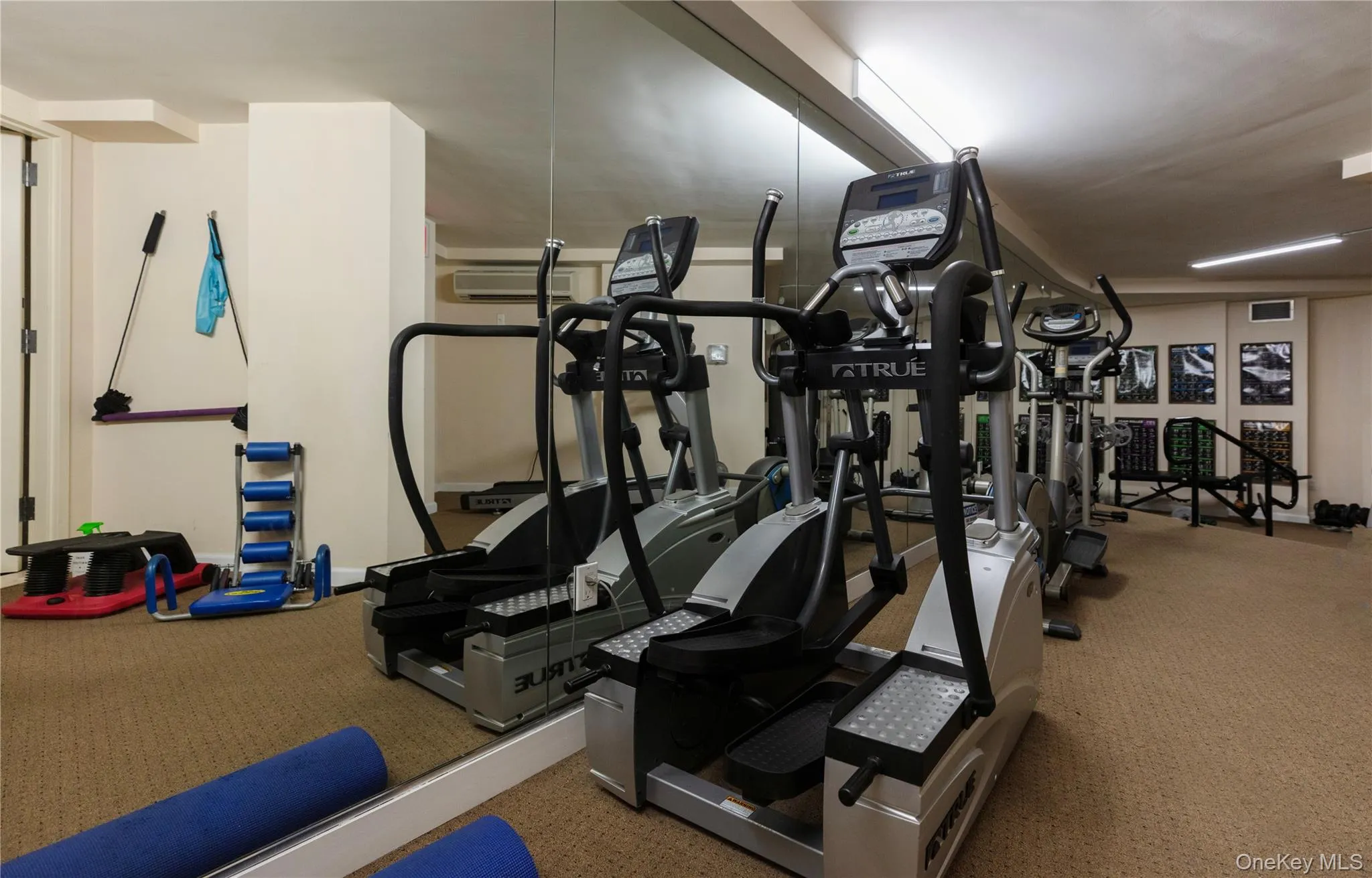 116-11 Curzon Road, New York, NY, 2 Bedrooms Bedrooms, 6 Rooms Rooms,2 BathroomsBathrooms,Residential,For Rent,Curzon,0,1047578 116-11 Curzon Road, New York, NY, 2 Bedrooms Bedrooms, 6 Rooms Rooms,2 BathroomsBathrooms,Residential,For Rent,Curzon,0,1047578