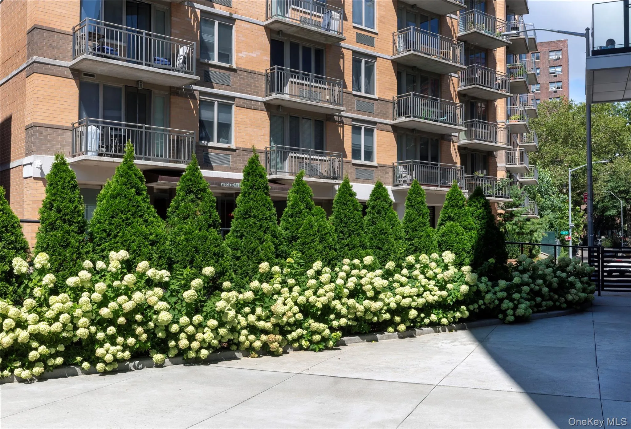 116-11 Curzon Road, New York, NY, 2 Bedrooms Bedrooms, 6 Rooms Rooms,2 BathroomsBathrooms,Residential,For Rent,Curzon,0,1047578 116-11 Curzon Road, New York, NY, 2 Bedrooms Bedrooms, 6 Rooms Rooms,2 BathroomsBathrooms,Residential,For Rent,Curzon,0,1047578