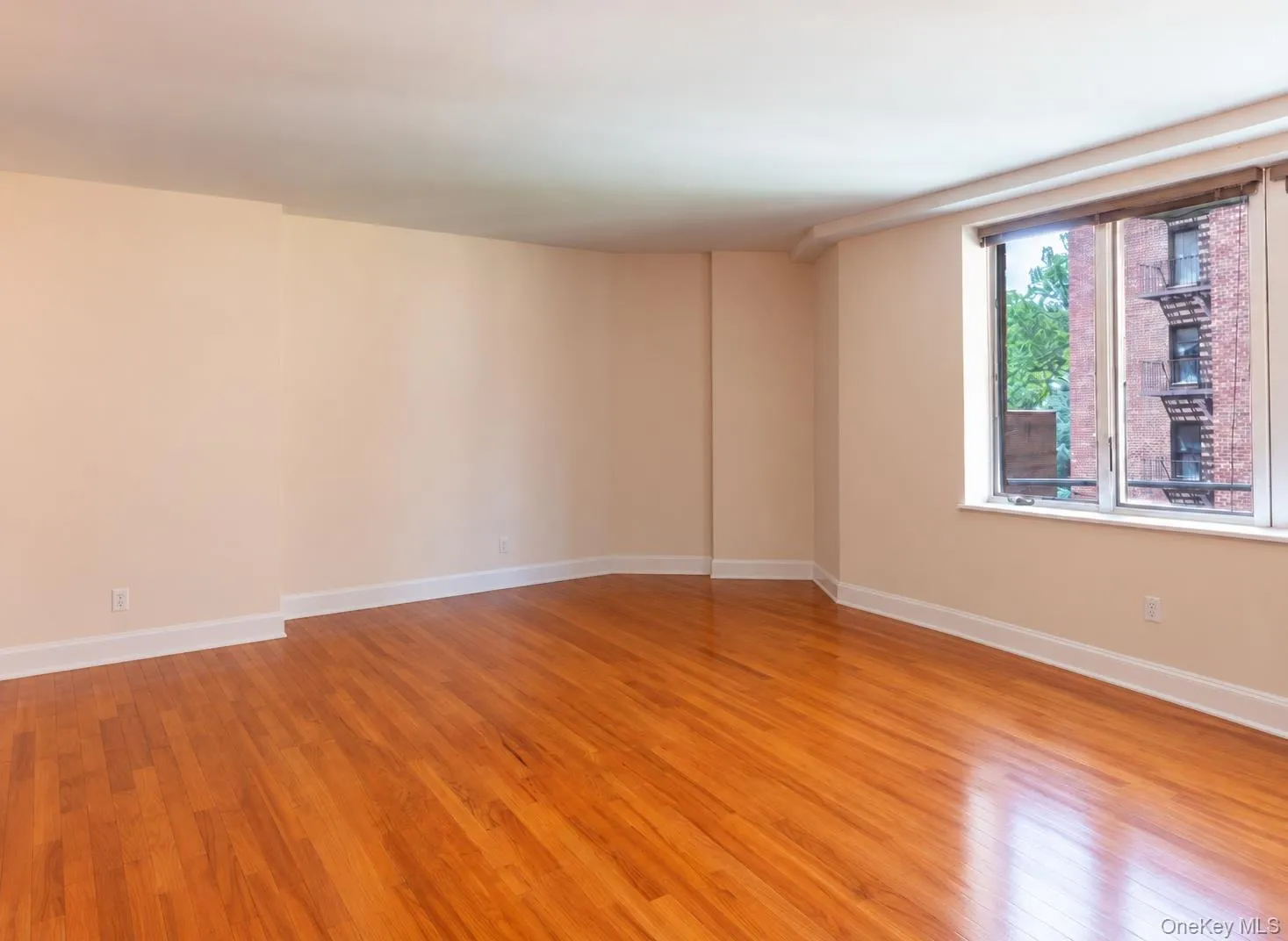 116-11 Curzon Road, New York, NY, 2 Bedrooms Bedrooms, 6 Rooms Rooms,2 BathroomsBathrooms,Residential,For Rent,Curzon,0,1047578 116-11 Curzon Road, New York, NY, 2 Bedrooms Bedrooms, 6 Rooms Rooms,2 BathroomsBathrooms,Residential,For Rent,Curzon,0,1047578