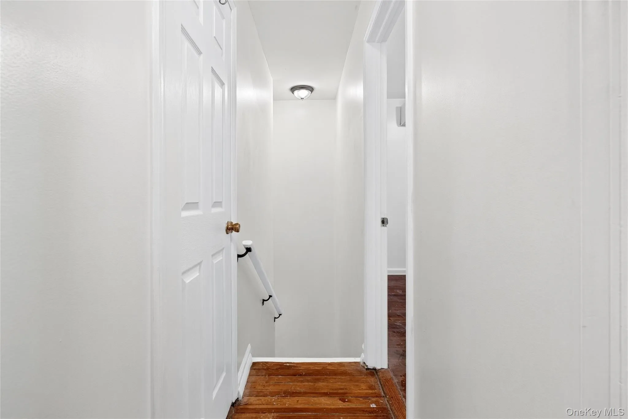 1787 Randall Avenue, New York, NY, 4 Bedrooms Bedrooms, 6 Rooms Rooms,1 BathroomBathrooms,Residential,For Rent,Randall,0,1047589 1787 Randall Avenue, New York, NY, 4 Bedrooms Bedrooms, 6 Rooms Rooms,1 BathroomBathrooms,Residential,For Rent,Randall,0,1047589