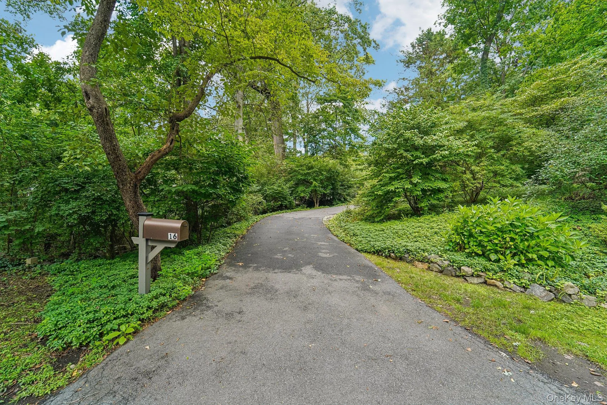 16 Edgewood Drive, Rye Town, NY, 5 Bedrooms Bedrooms, 12 Rooms Rooms,4 BathroomsBathrooms,Residential,For Rent,Edgewood,0,1047636 16 Edgewood Drive, Rye Town, NY, 5 Bedrooms Bedrooms, 12 Rooms Rooms,4 BathroomsBathrooms,Residential,For Rent,Edgewood,0,1047636