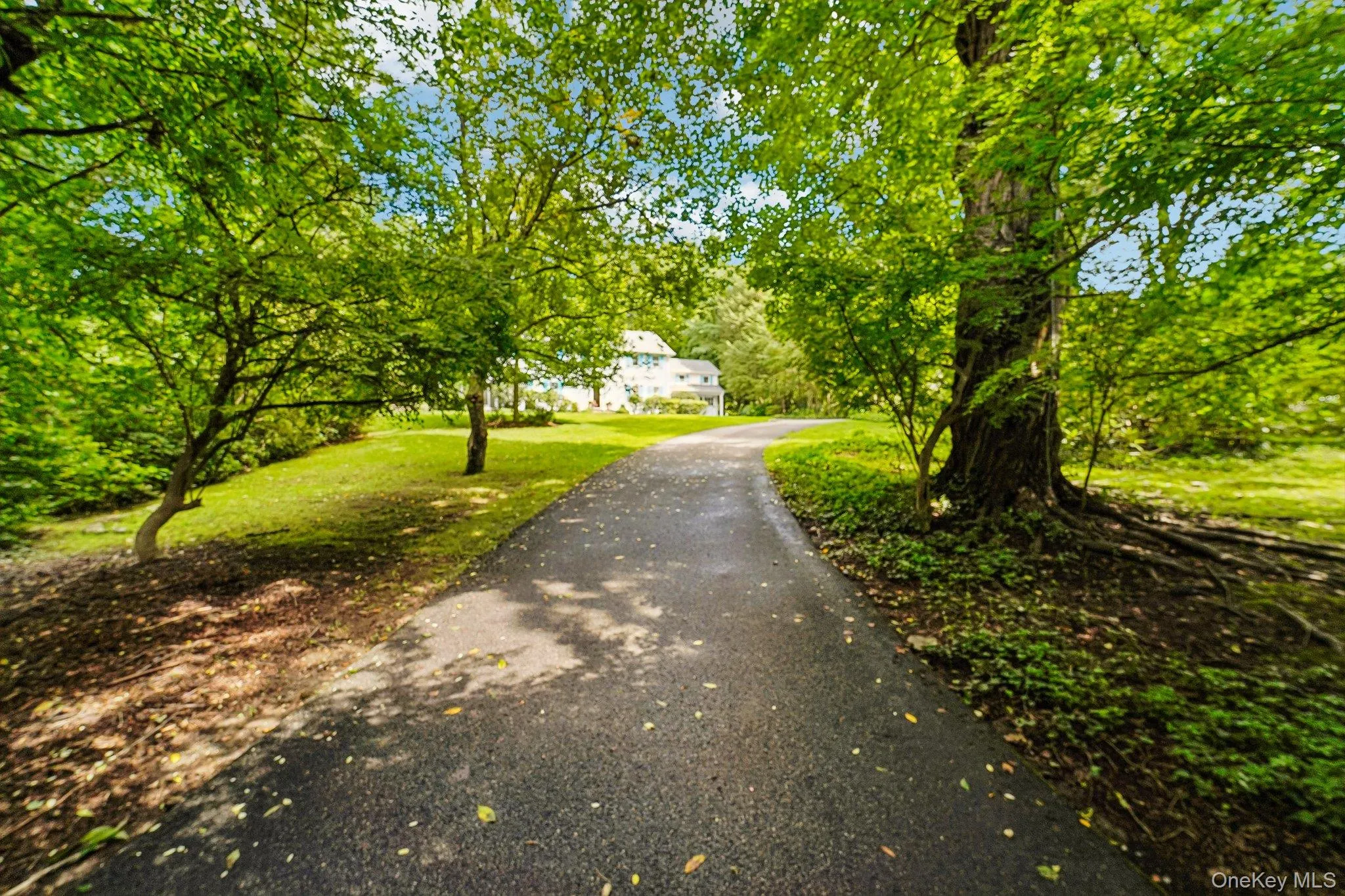 16 Edgewood Drive, Rye Town, NY, 5 Bedrooms Bedrooms, 12 Rooms Rooms,4 BathroomsBathrooms,Residential,For Rent,Edgewood,0,1047636 16 Edgewood Drive, Rye Town, NY, 5 Bedrooms Bedrooms, 12 Rooms Rooms,4 BathroomsBathrooms,Residential,For Rent,Edgewood,0,1047636