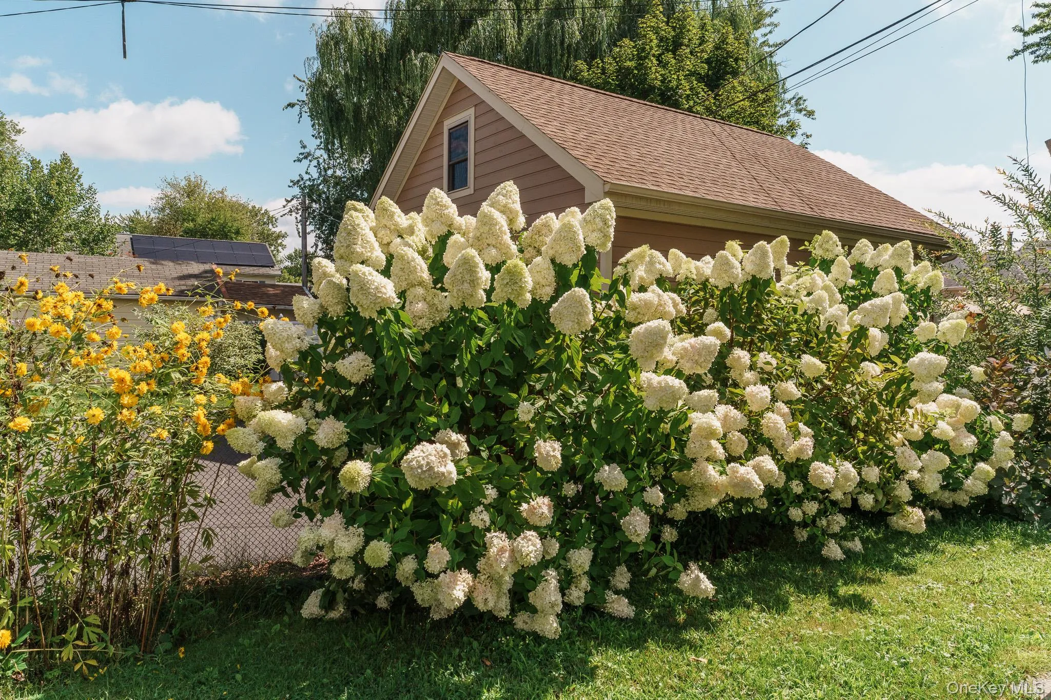 23 Janis Street, Hudson, NY, 2 Bedrooms Bedrooms, 5 Rooms Rooms,1 BathroomBathrooms,Residential,For Rent,Janis,0,1047640 23 Janis Street, Hudson, NY, 2 Bedrooms Bedrooms, 5 Rooms Rooms,1 BathroomBathrooms,Residential,For Rent,Janis,0,1047640