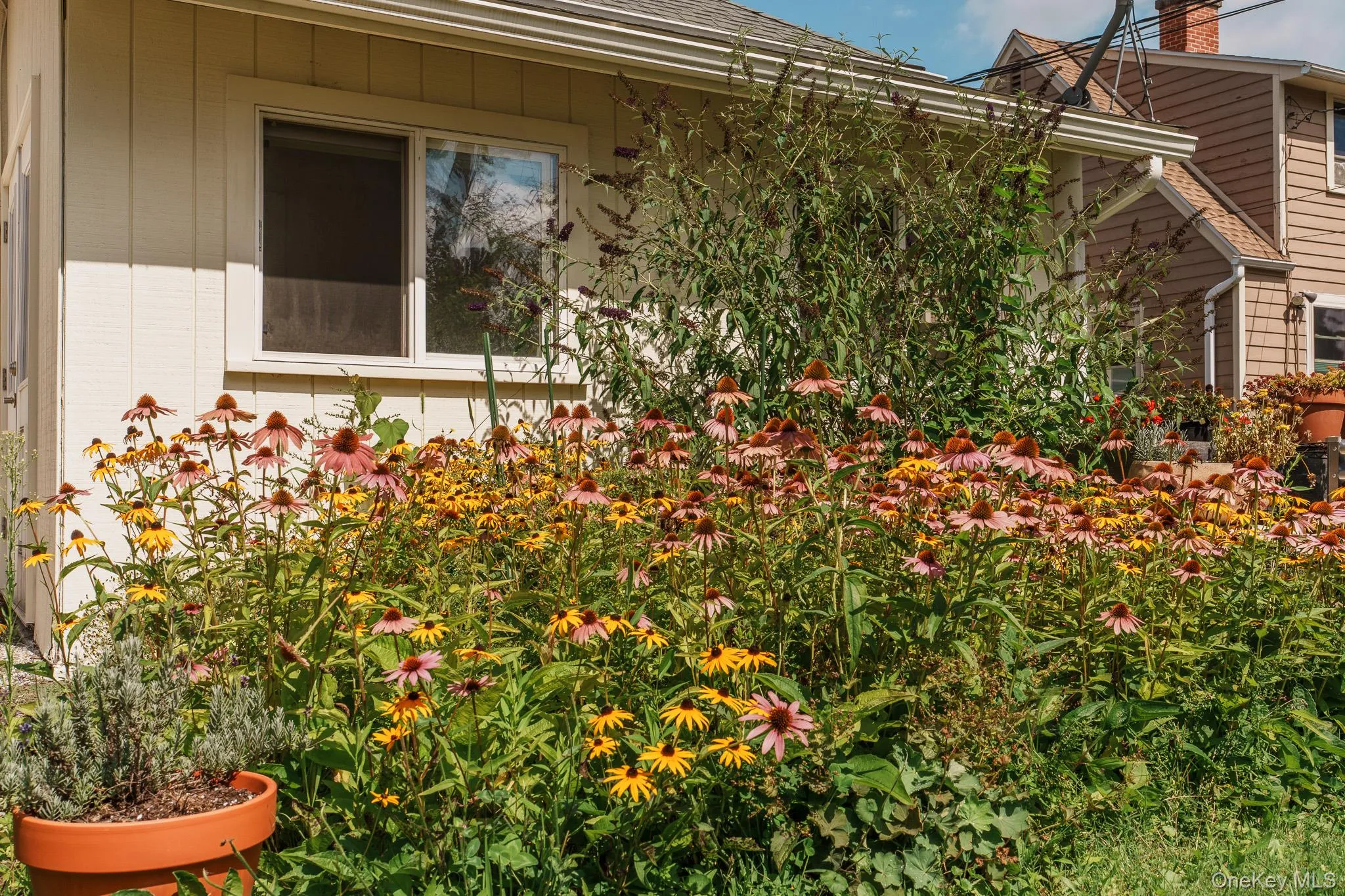 23 Janis Street, Hudson, NY, 2 Bedrooms Bedrooms, 5 Rooms Rooms,1 BathroomBathrooms,Residential,For Rent,Janis,0,1047640 23 Janis Street, Hudson, NY, 2 Bedrooms Bedrooms, 5 Rooms Rooms,1 BathroomBathrooms,Residential,For Rent,Janis,0,1047640