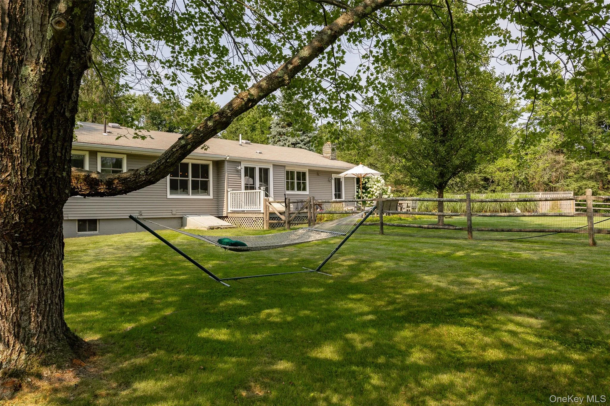 Back of house and hammock Back of house and hammock