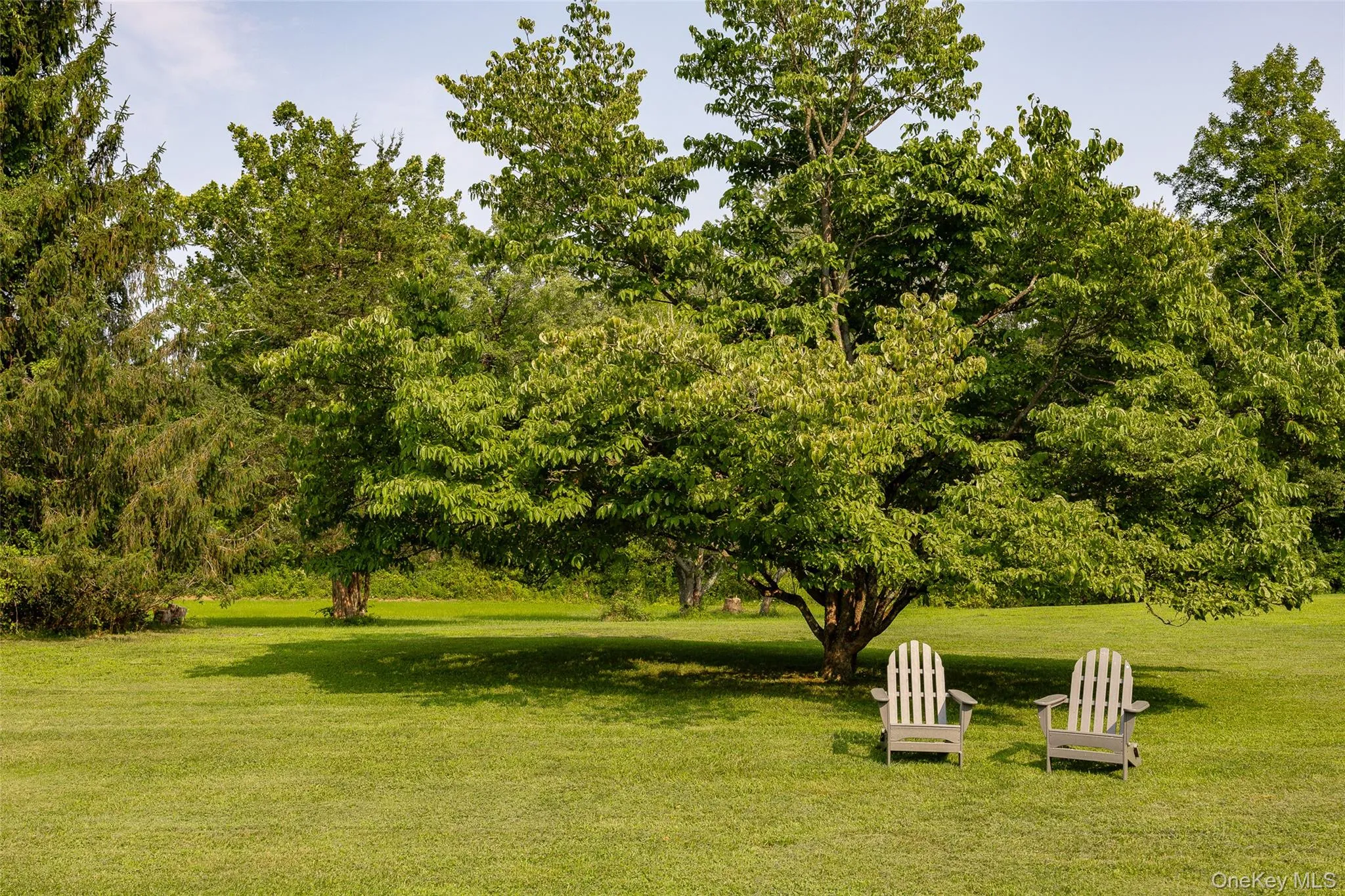 62 Frost Road, Rhinebeck, NY, 3 Bedrooms Bedrooms, 7 Rooms Rooms,2 BathroomsBathrooms,Residential,For Rent,Frost,0,1047657 62 Frost Road, Rhinebeck, NY, 3 Bedrooms Bedrooms, 7 Rooms Rooms,2 BathroomsBathrooms,Residential,For Rent,Frost,0,1047657