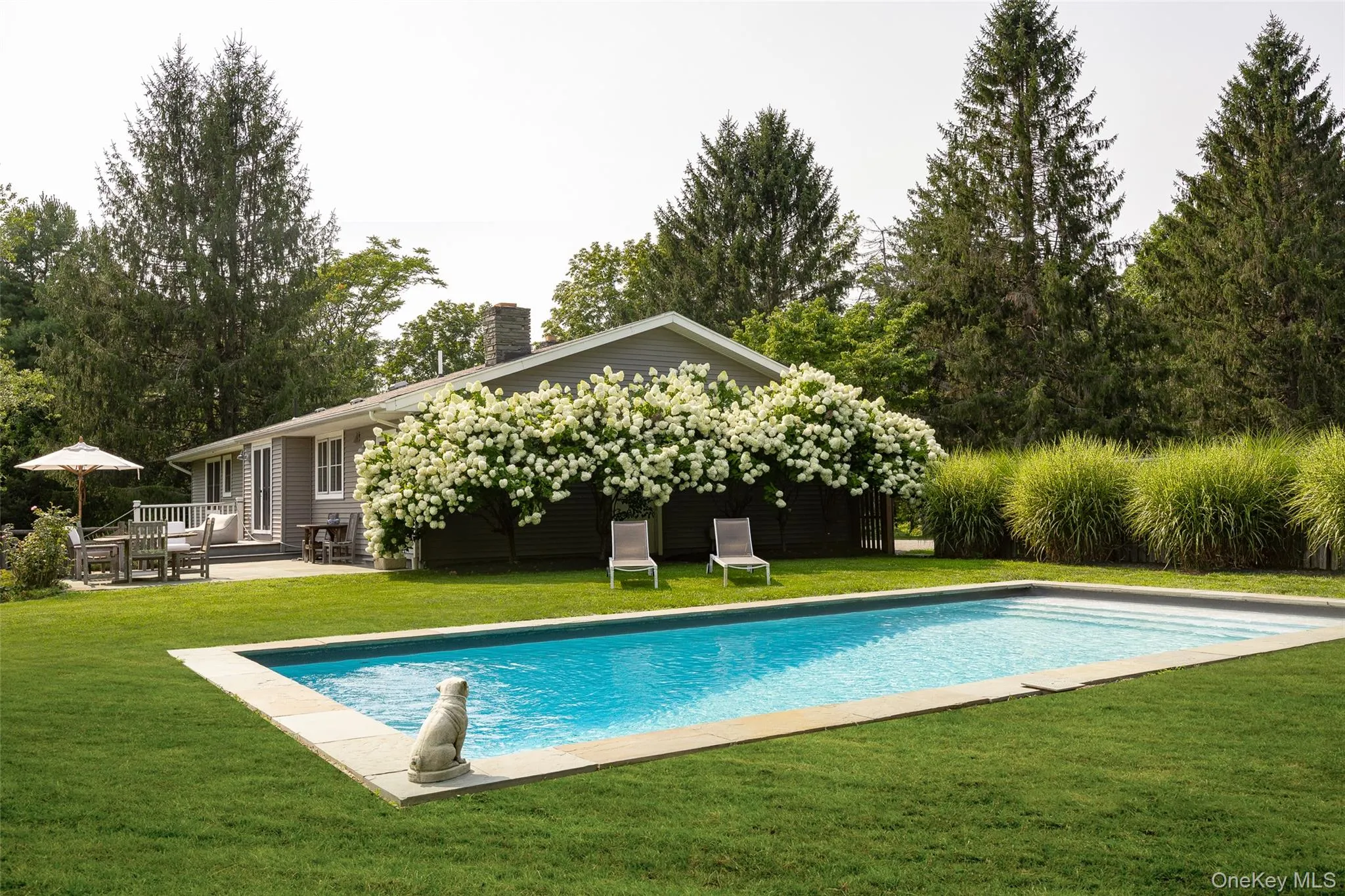 Beautiful and private in-ground pool Beautiful and private in-ground pool