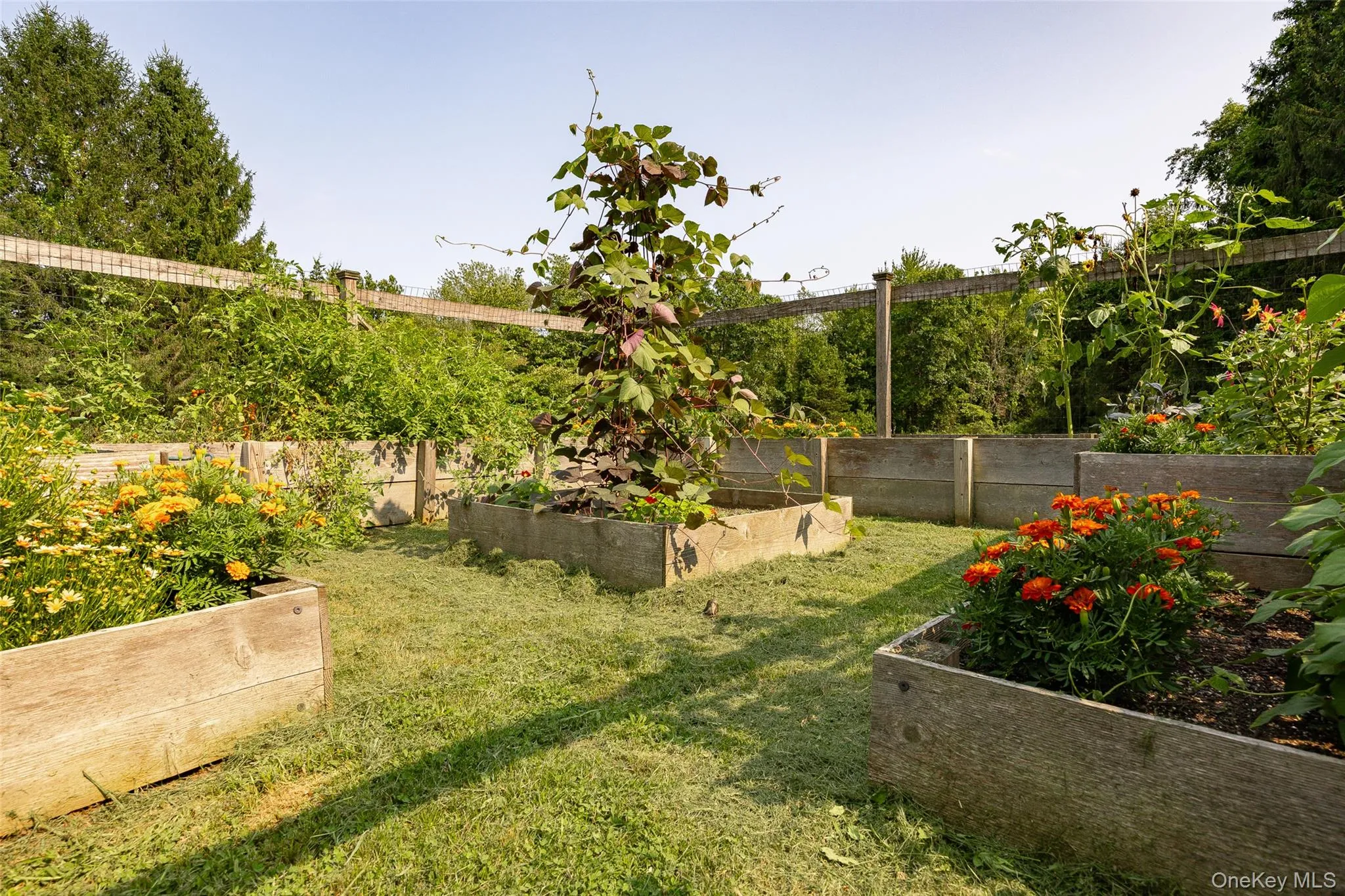 raised bed fenced-in garden raised bed fenced-in garden