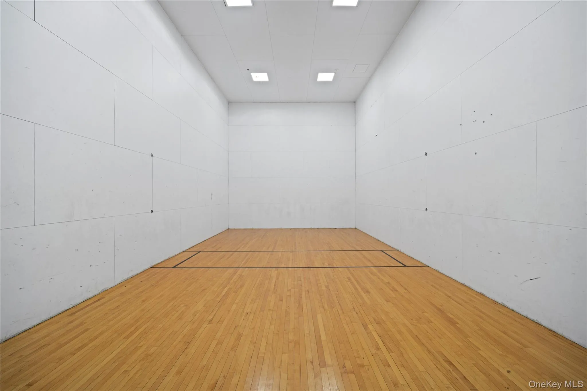 Indoor court with hardwood flooring and recessed ceiling lighting Indoor court with hardwood flooring and recessed ceiling lighting