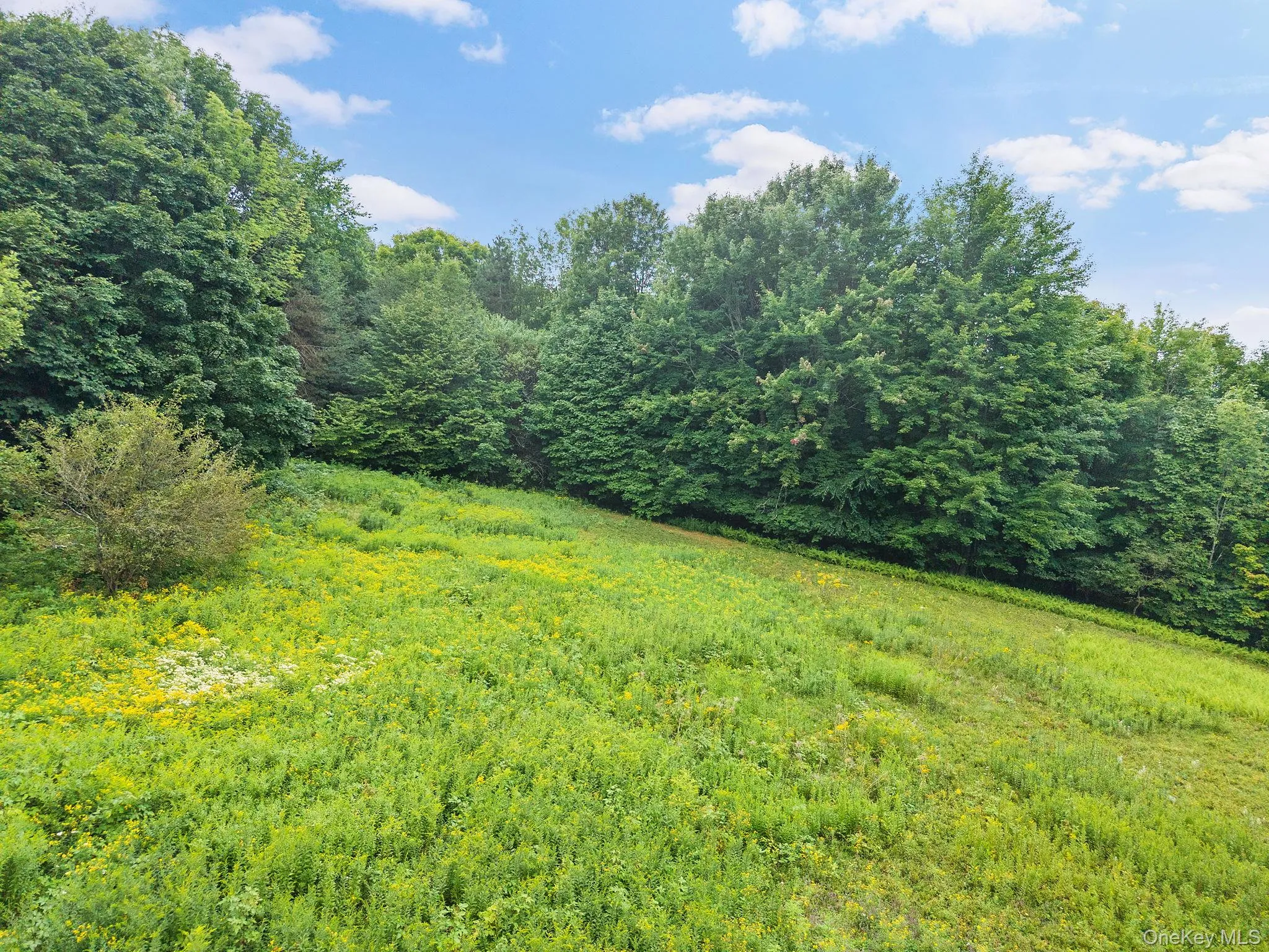 5206 Town Brook Road, Stamford, NY, 2 Bedrooms Bedrooms, 8 Rooms Rooms,1 BathroomBathrooms,Residential,For Rent,Town Brook,0,1047662 5206 Town Brook Road, Stamford, NY, 2 Bedrooms Bedrooms, 8 Rooms Rooms,1 BathroomBathrooms,Residential,For Rent,Town Brook,0,1047662