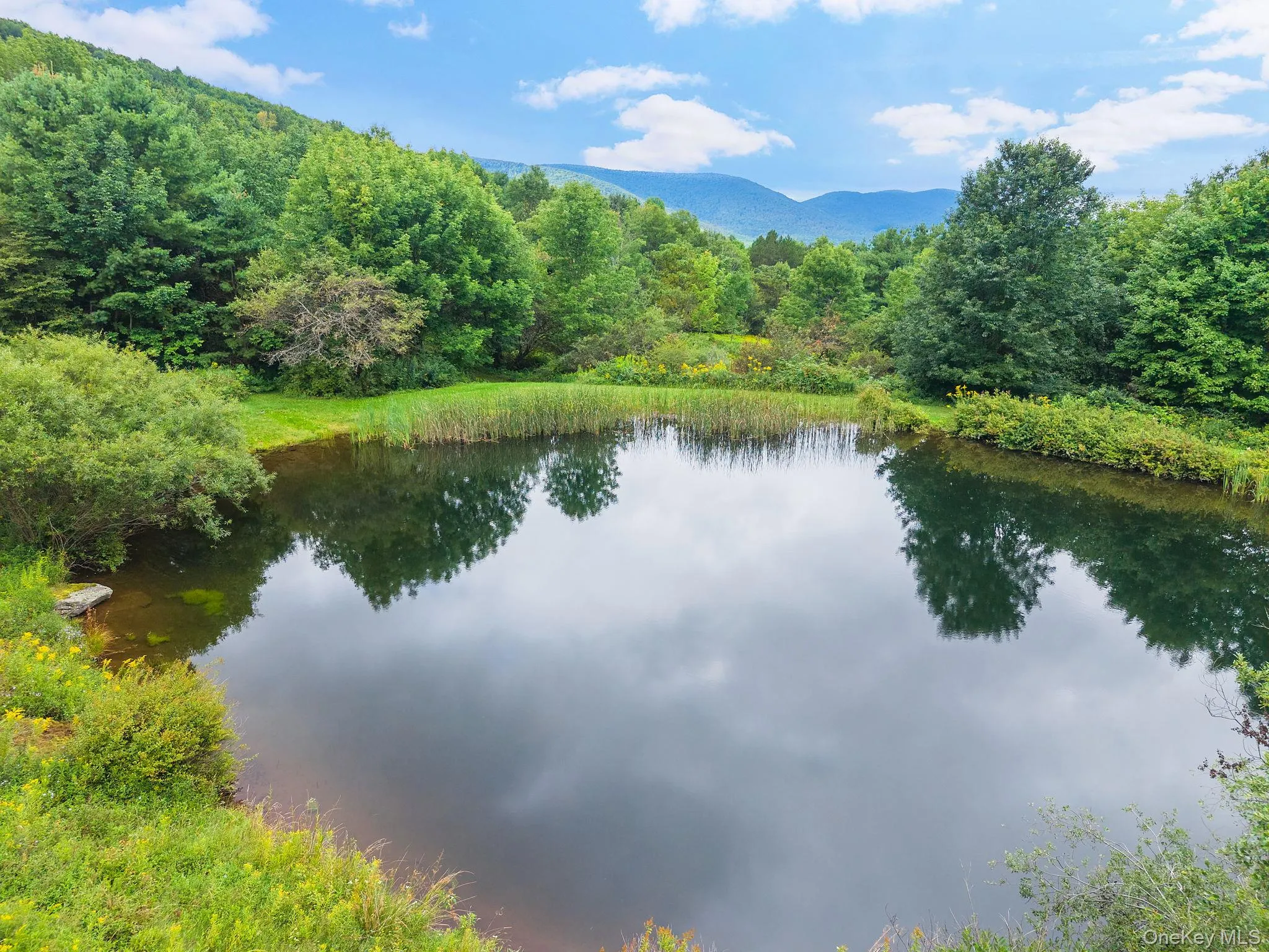 Expansive pond with surrounding natural landscaping and mature trees, set against a distant mountain range Expansive pond with surrounding natural landscaping and mature trees, set against a distant mountain range