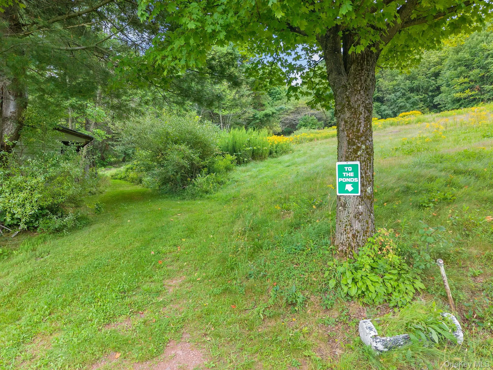 5206 Town Brook Road, Stamford, NY, 2 Bedrooms Bedrooms, 8 Rooms Rooms,1 BathroomBathrooms,Residential,For Rent,Town Brook,0,1047662 5206 Town Brook Road, Stamford, NY, 2 Bedrooms Bedrooms, 8 Rooms Rooms,1 BathroomBathrooms,Residential,For Rent,Town Brook,0,1047662