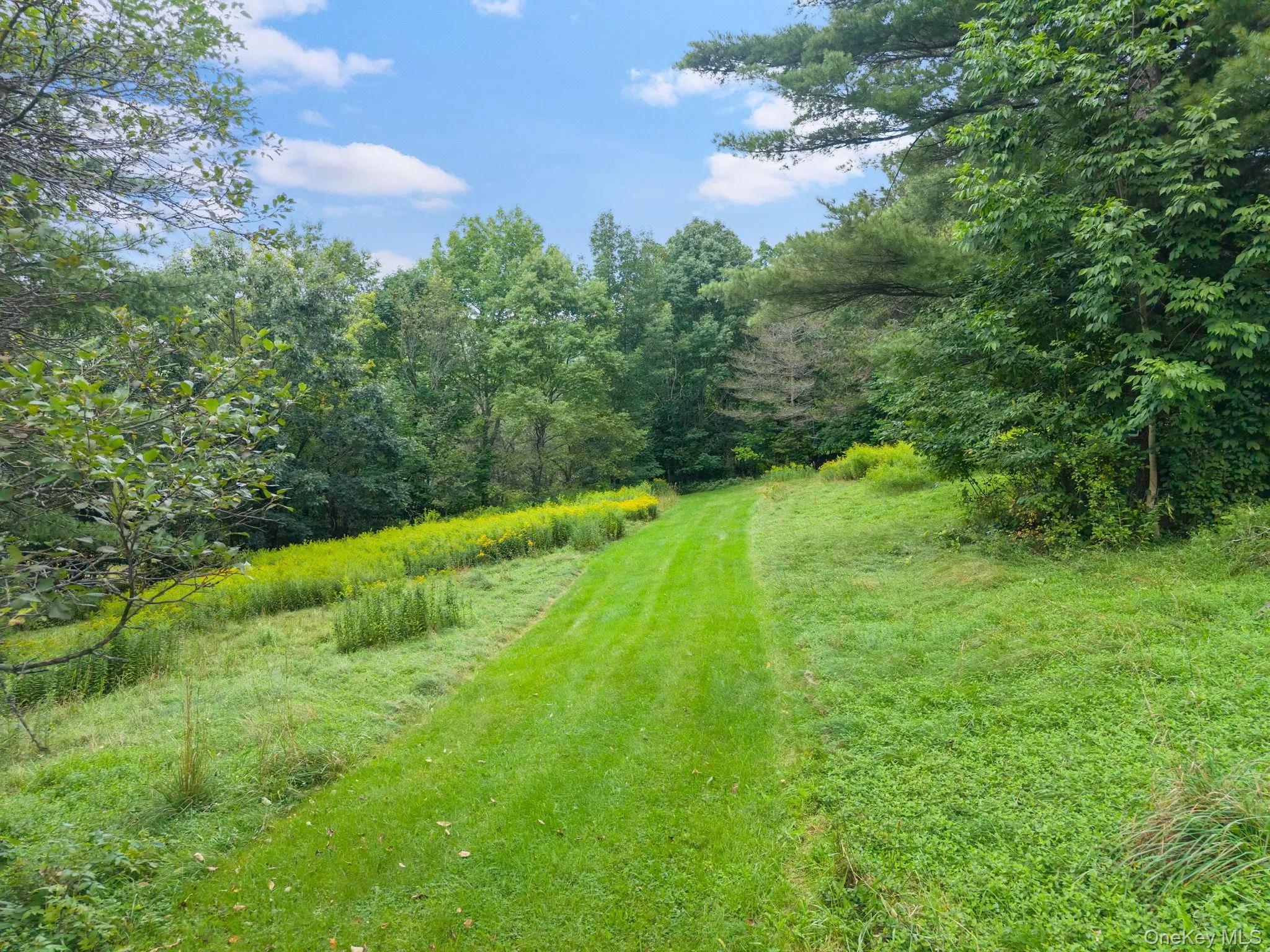 5206 Town Brook Road, Stamford, NY, 2 Bedrooms Bedrooms, 8 Rooms Rooms,1 BathroomBathrooms,Residential,For Rent,Town Brook,0,1047662 5206 Town Brook Road, Stamford, NY, 2 Bedrooms Bedrooms, 8 Rooms Rooms,1 BathroomBathrooms,Residential,For Rent,Town Brook,0,1047662