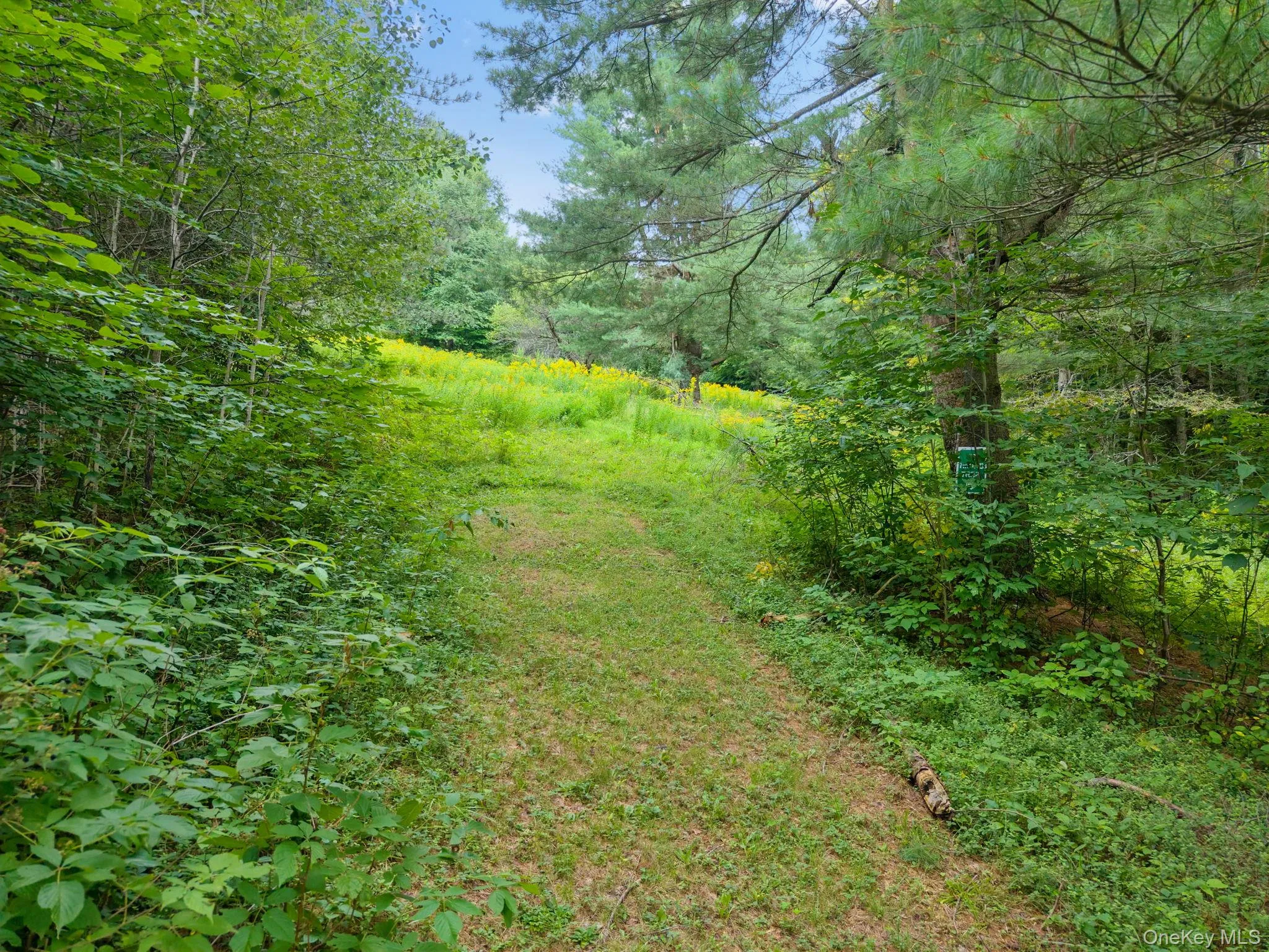 5206 Town Brook Road, Stamford, NY, 2 Bedrooms Bedrooms, 8 Rooms Rooms,1 BathroomBathrooms,Residential,For Rent,Town Brook,0,1047662 5206 Town Brook Road, Stamford, NY, 2 Bedrooms Bedrooms, 8 Rooms Rooms,1 BathroomBathrooms,Residential,For Rent,Town Brook,0,1047662