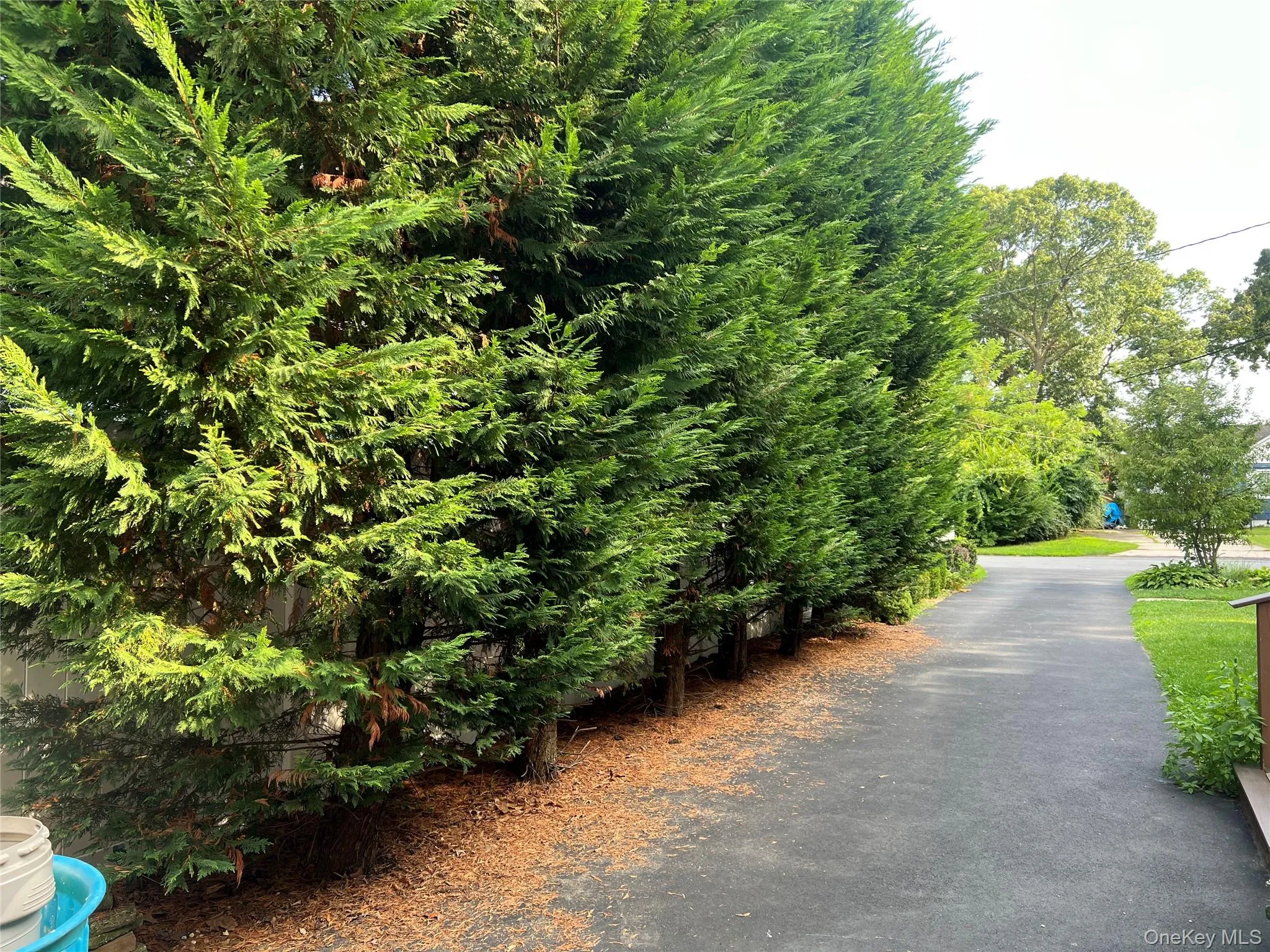 7 Elm, Islip, NY, 4 Bedroom Bedrooms, 7 Room Rooms,2 BathroomBathrooms,Residential Lease,For Rent,Elm,0,1047663 7 Elm, Islip, NY, 4 Bedroom Bedrooms, 7 Room Rooms,2 BathroomBathrooms,Residential Lease,For Rent,Elm,0,1047663