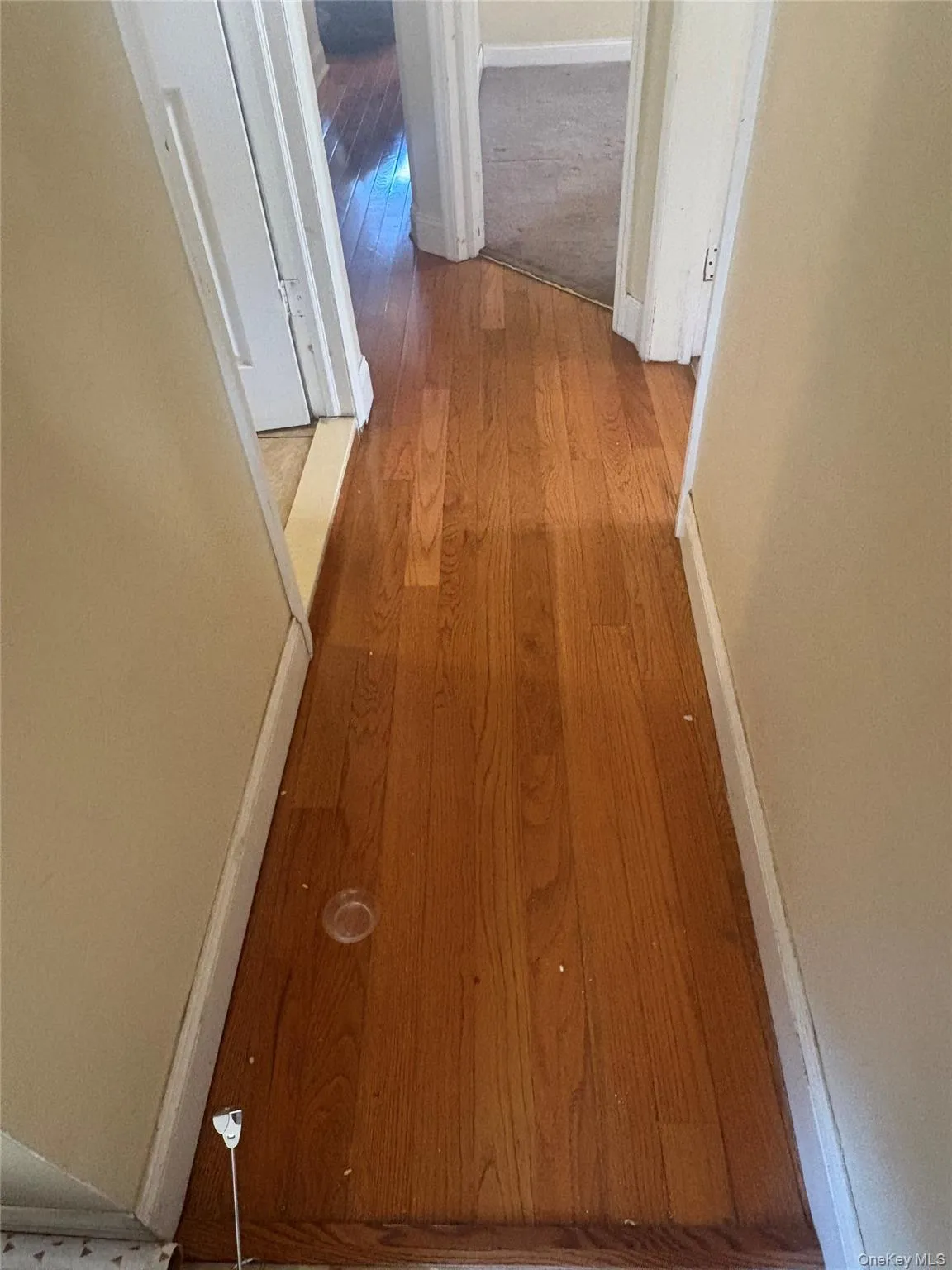 3334 Eastchester Road 3334 Eastchester Road, New York, NY, 3 Bedroom Bedrooms, 7 Room Rooms,1 BathroomBathrooms,Residential Lease,For Rent,3334 Eastchester Road,0,1047687 3334 Eastchester Road 3334 Eastchester Road, New York, NY, 3 Bedroom Bedrooms, 7 Room Rooms,1 BathroomBathrooms,Residential Lease,For Rent,3334 Eastchester Road,0,1047687