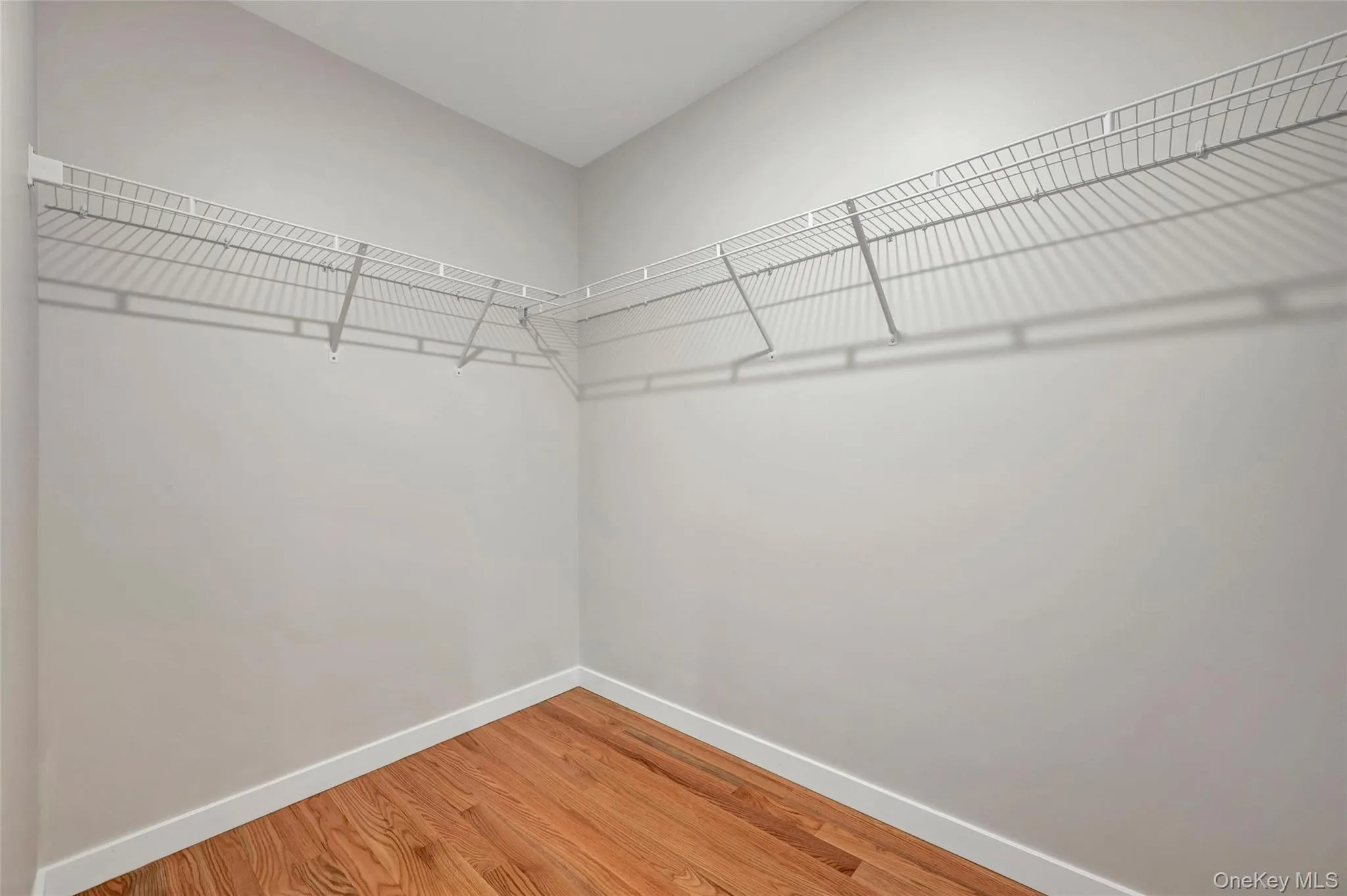501 Iron Forge Lane, New Windsor, NY, 3 Bedrooms Bedrooms, 7 Rooms Rooms,2 BathroomsBathrooms,Residential Lease,For Rent,Iron Forge,0,1047688 501 Iron Forge Lane, New Windsor, NY, 3 Bedrooms Bedrooms, 7 Rooms Rooms,2 BathroomsBathrooms,Residential Lease,For Rent,Iron Forge,0,1047688