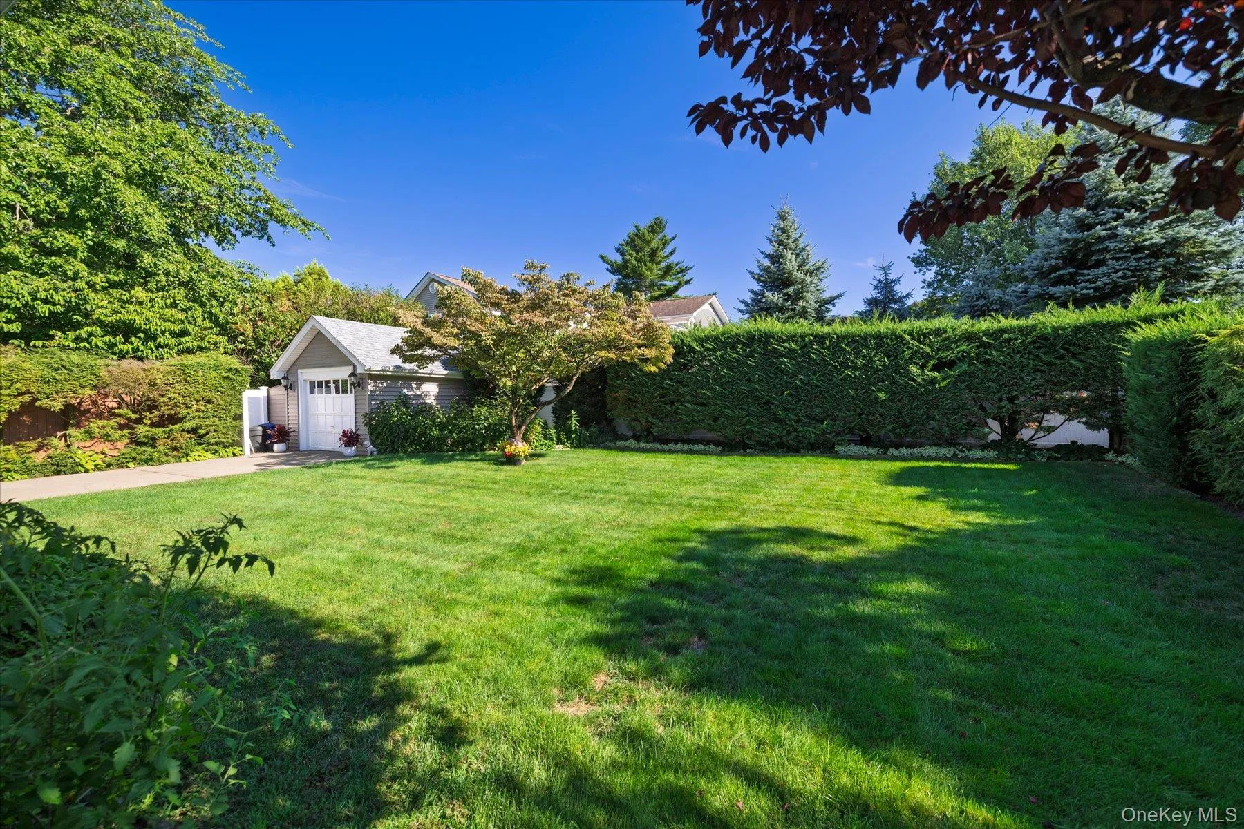Spacious backyard with mature and professionally landscaped property Spacious backyard with mature and professionally landscaped property