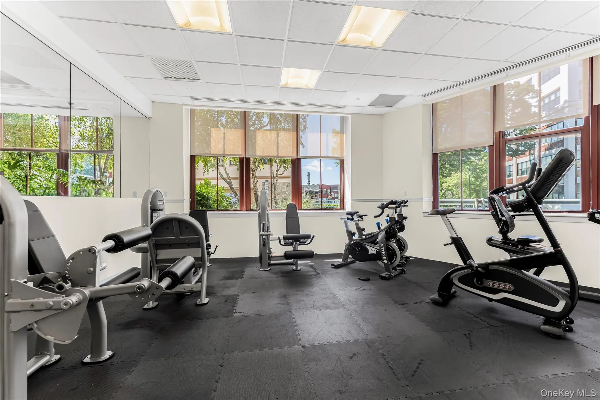 Fully Equipped Gym Fully Equipped Gym