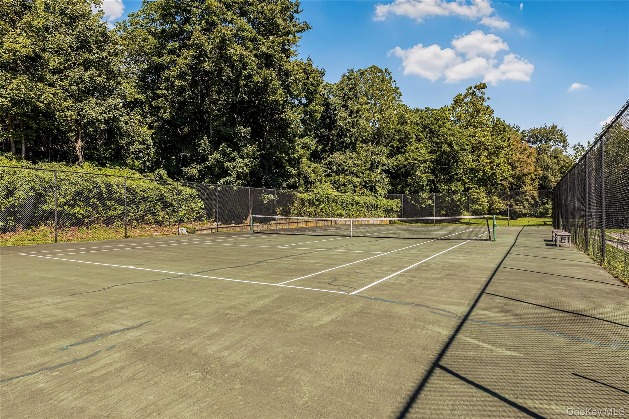 Tennis Anyone? Tennis Anyone?