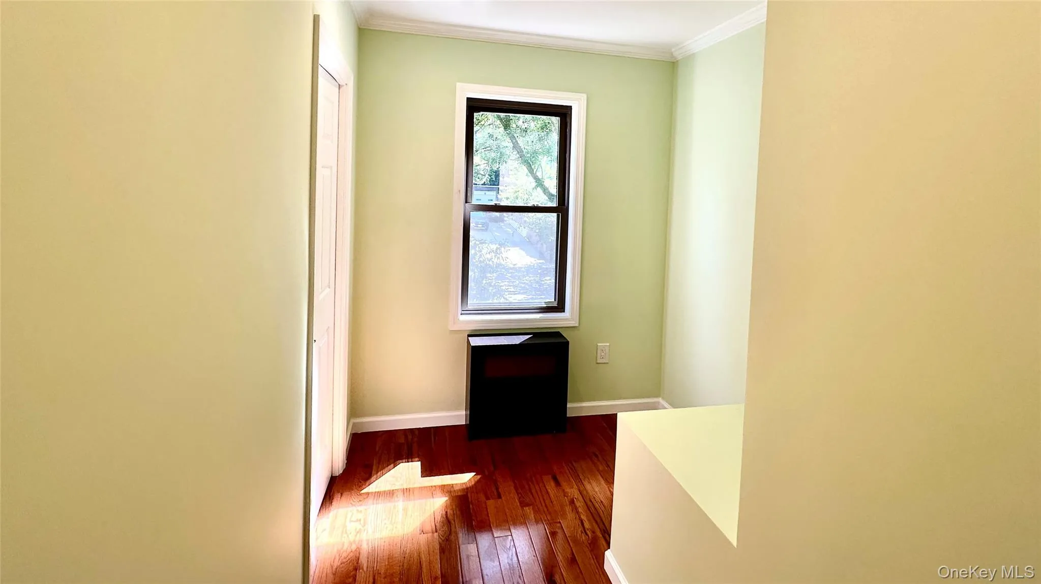 9911 Ascan Avenue, New York, NY, 2 Bedrooms Bedrooms, 7 Rooms Rooms,2 BathroomsBathrooms,Residential Lease,For Rent,Ascan,0,1047748 9911 Ascan Avenue, New York, NY, 2 Bedrooms Bedrooms, 7 Rooms Rooms,2 BathroomsBathrooms,Residential Lease,For Rent,Ascan,0,1047748
