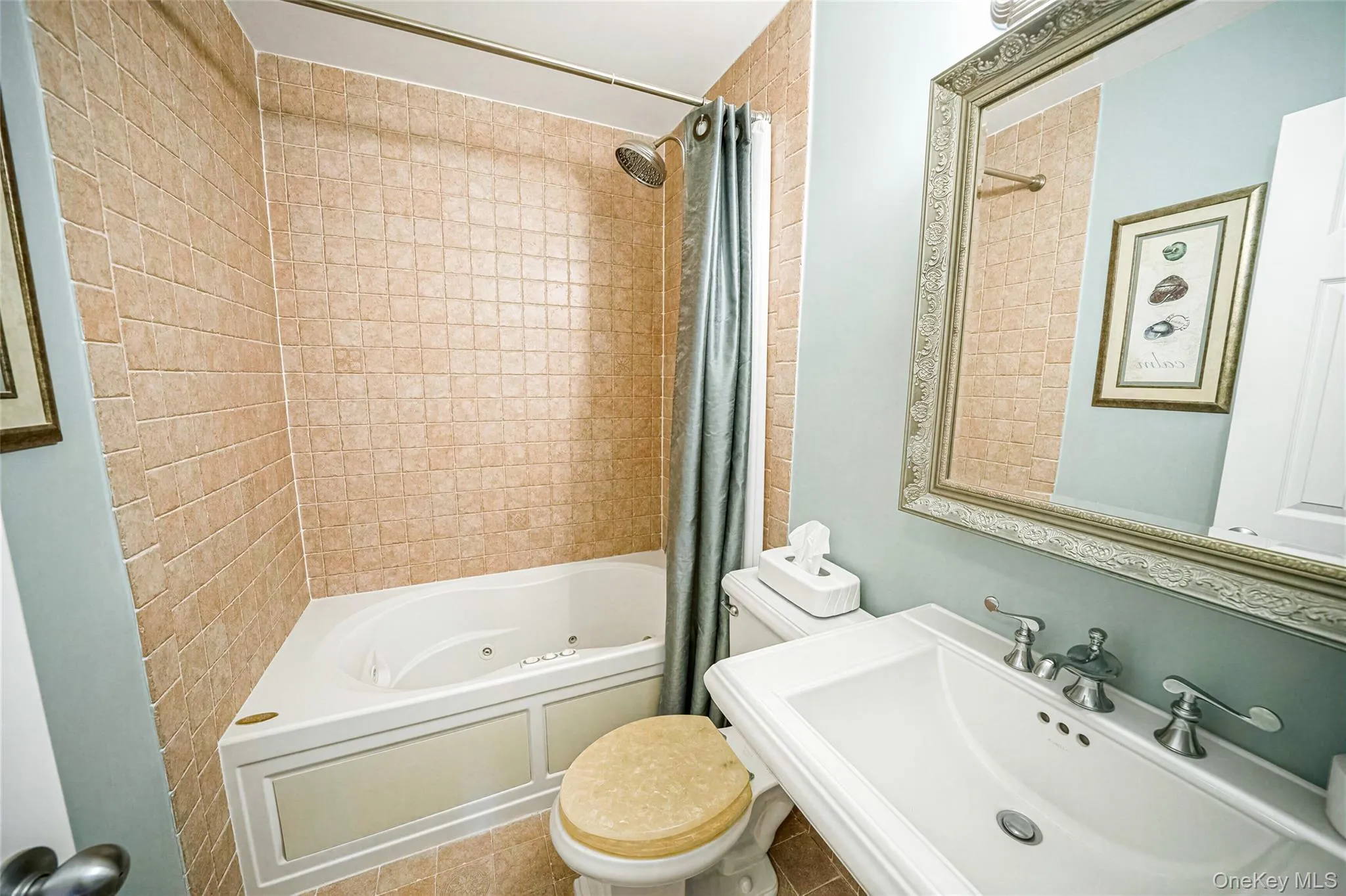 Guest Bathroom with Jacuzzi Tub Guest Bathroom with Jacuzzi Tub