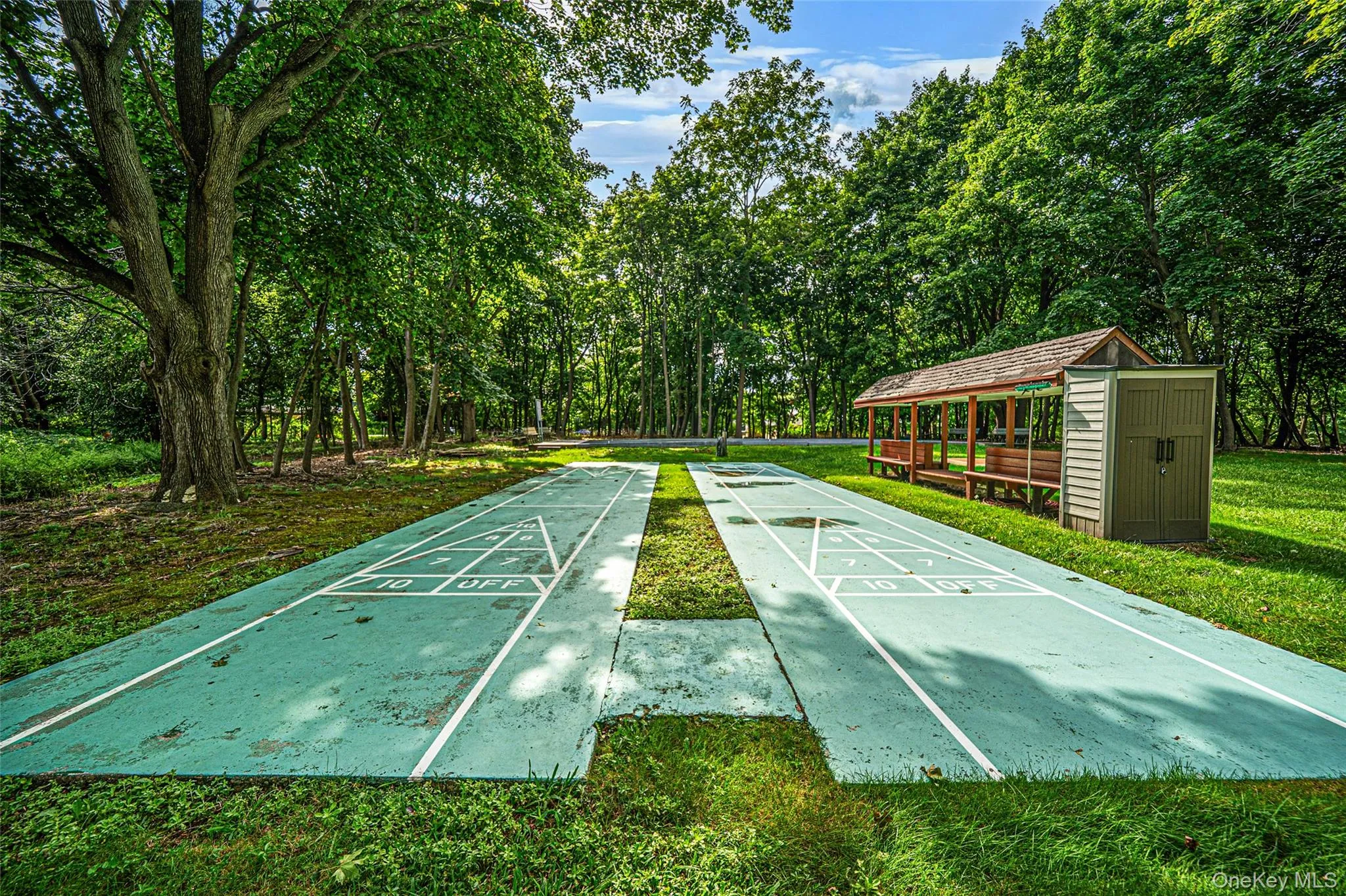 Shuffle Board Shuffle Board