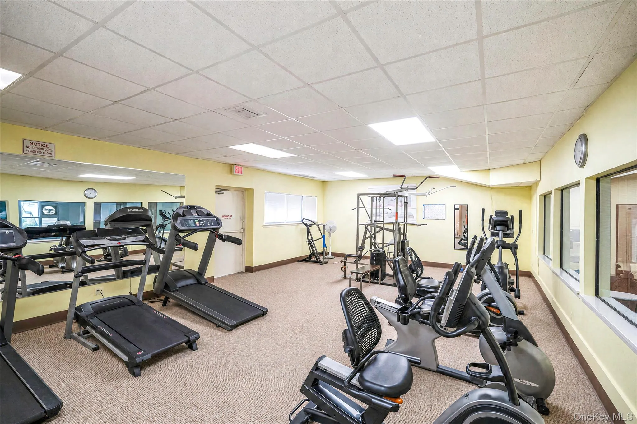 Fitness Room Fitness Room