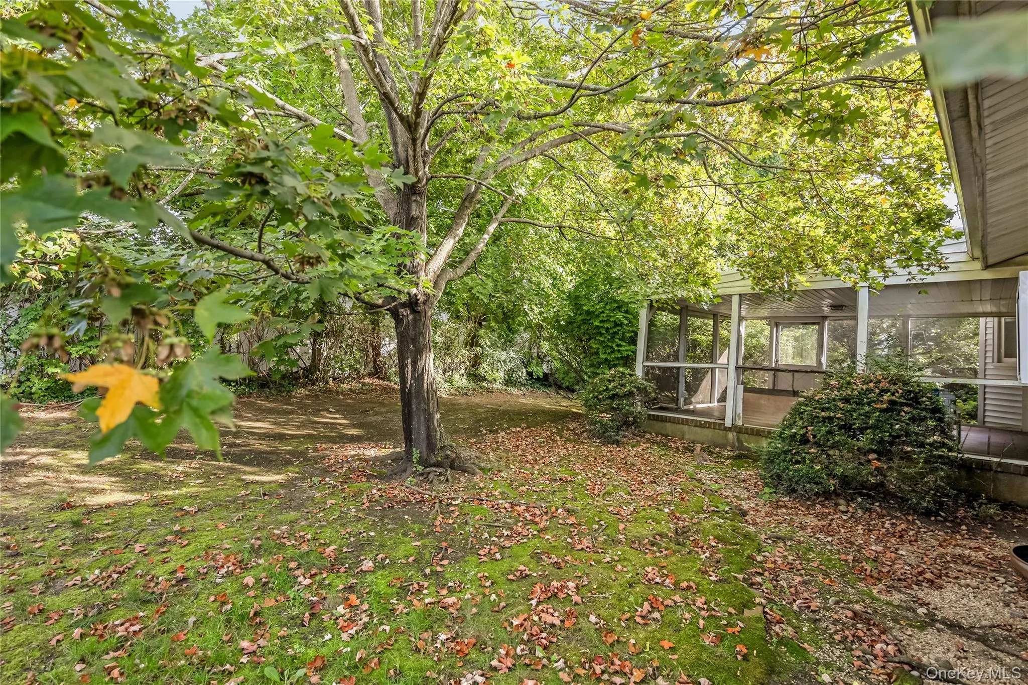 Expansive backyard with mature trees, established shrubbery, and a screened porch Expansive backyard with mature trees, established shrubbery, and a screened porch