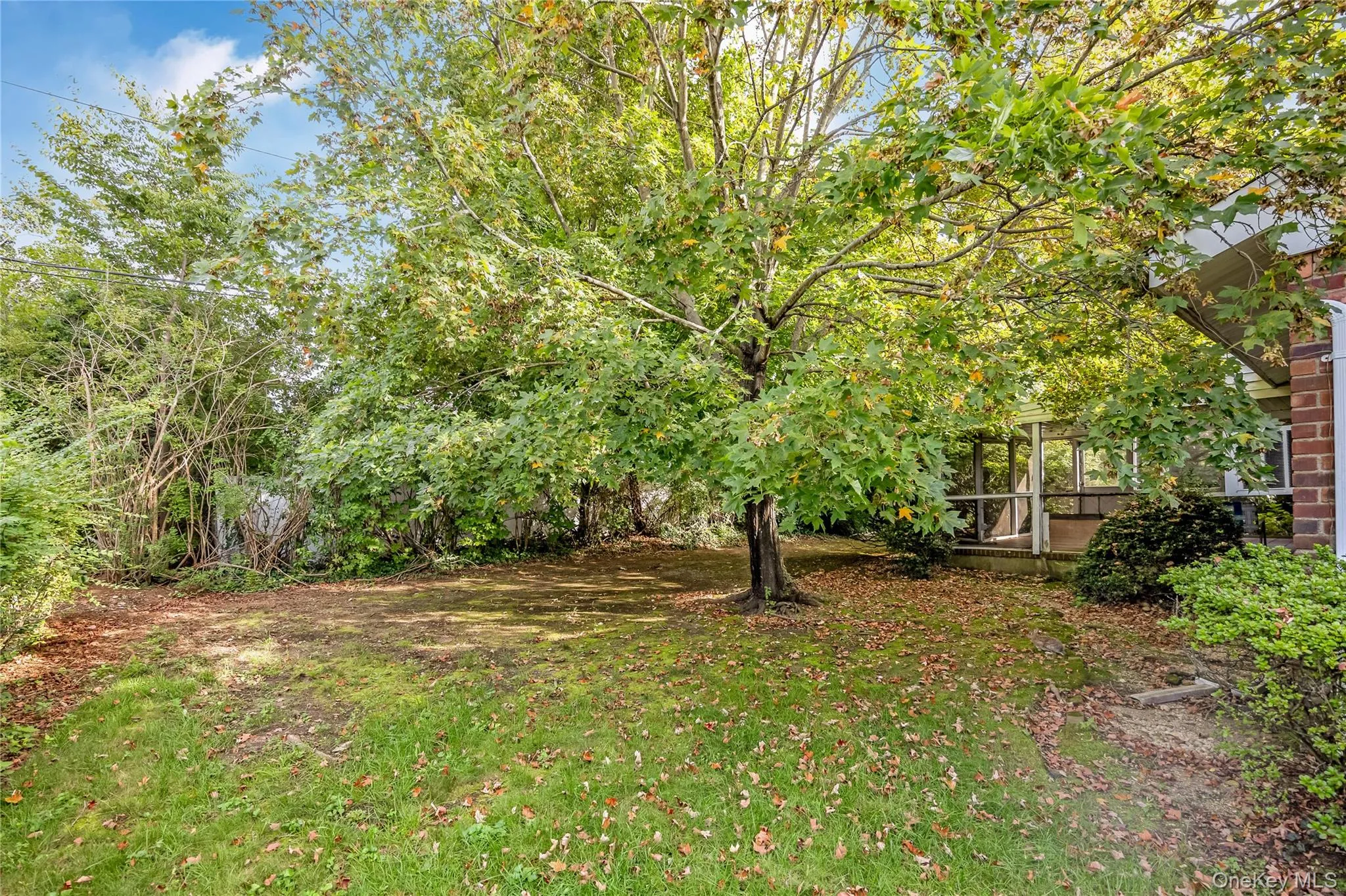 Expansive backyard featuring a mature deciduous tree, dense perimeter foliage, and a partial view of a screened-in porch Expansive backyard featuring a mature deciduous tree, dense perimeter foliage, and a partial view of a screened-in porch