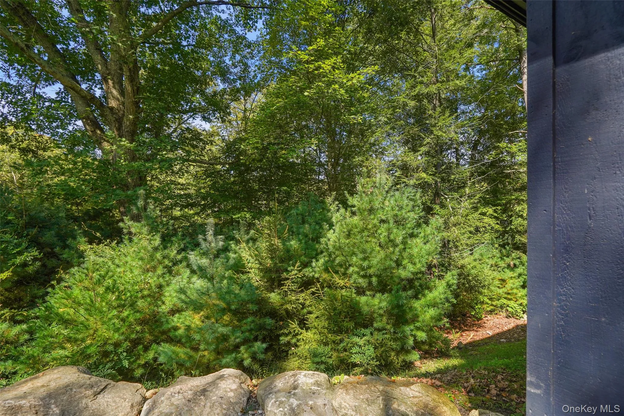 Example of wooded views Example of wooded views