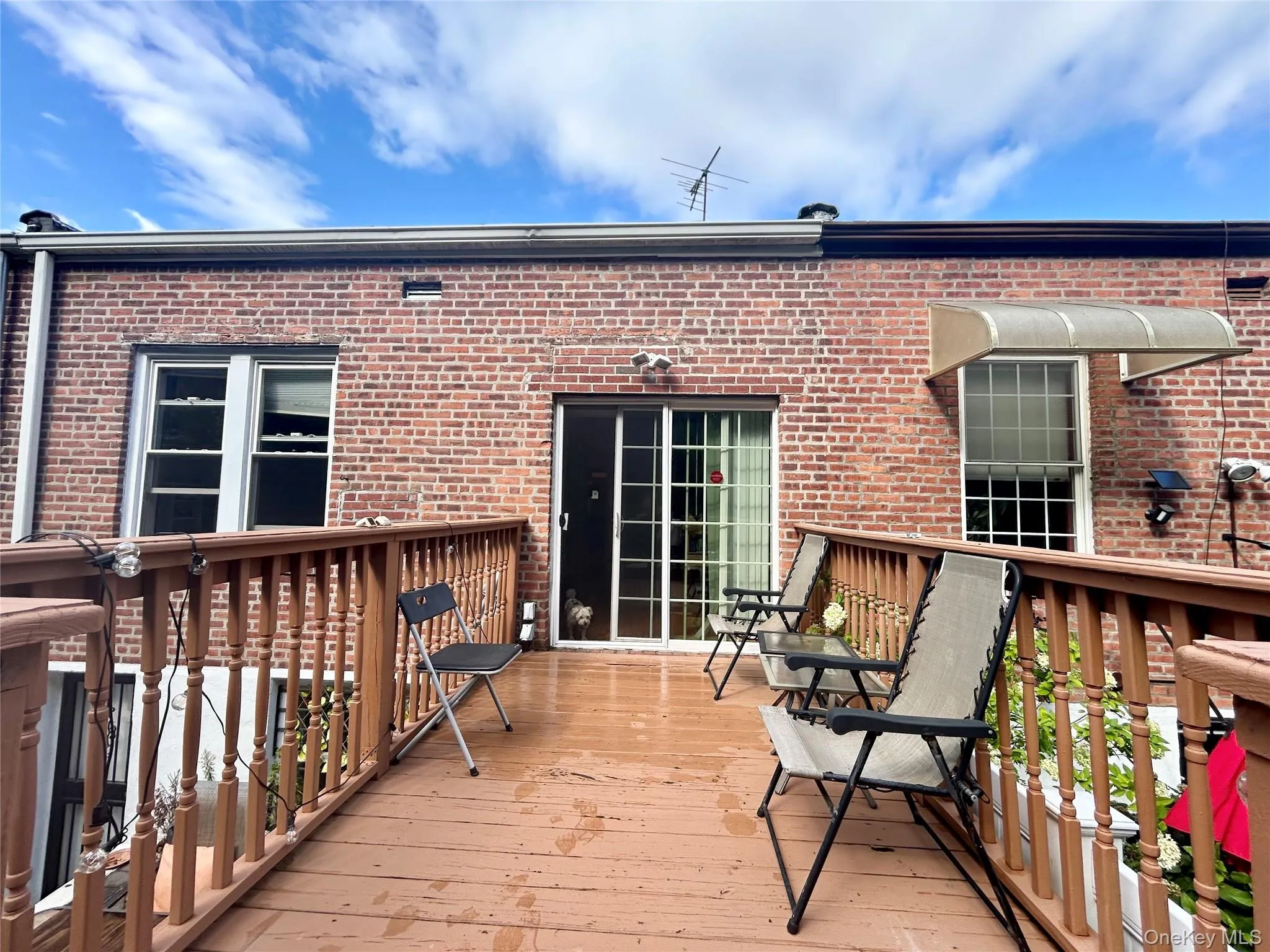6643 Alderton Street, New York, NY, 2 Bedrooms Bedrooms, 6 Rooms Rooms,2 BathroomsBathrooms,Residential,For Rent,Alderton,0,1047803 6643 Alderton Street, New York, NY, 2 Bedrooms Bedrooms, 6 Rooms Rooms,2 BathroomsBathrooms,Residential,For Rent,Alderton,0,1047803