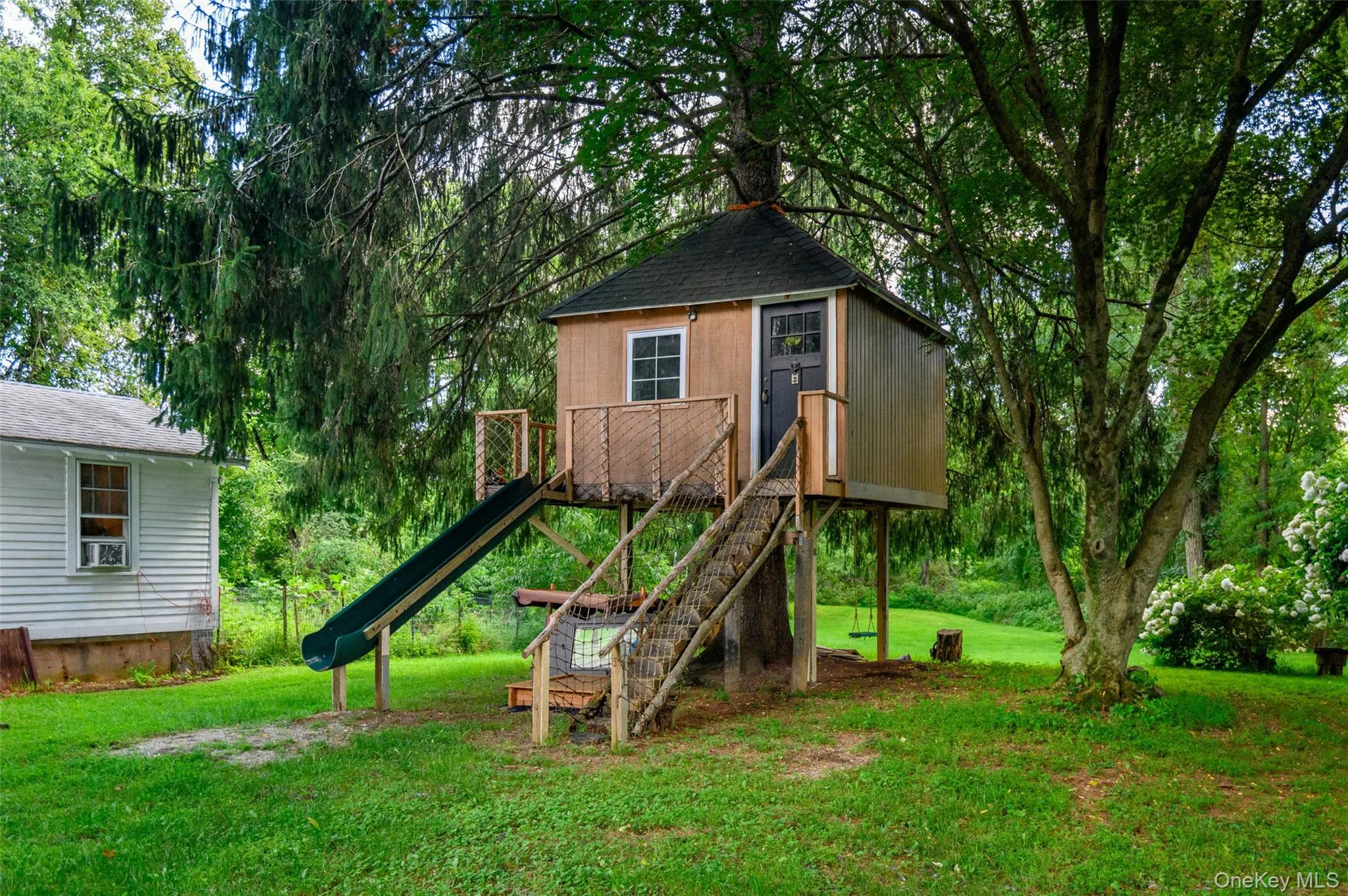 Tree house! Tree house!