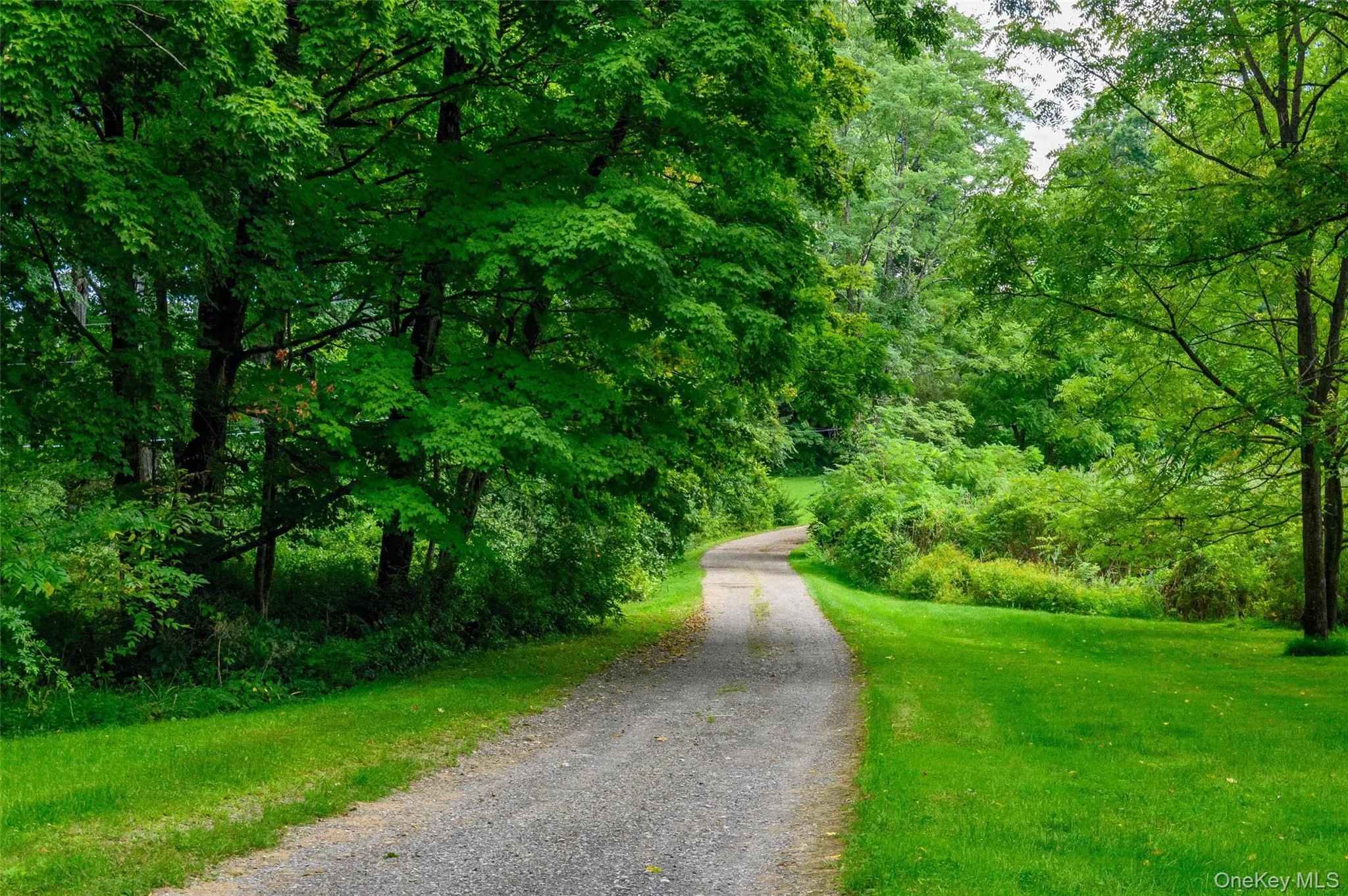 Long private driveway leads to home Long private driveway leads to home
