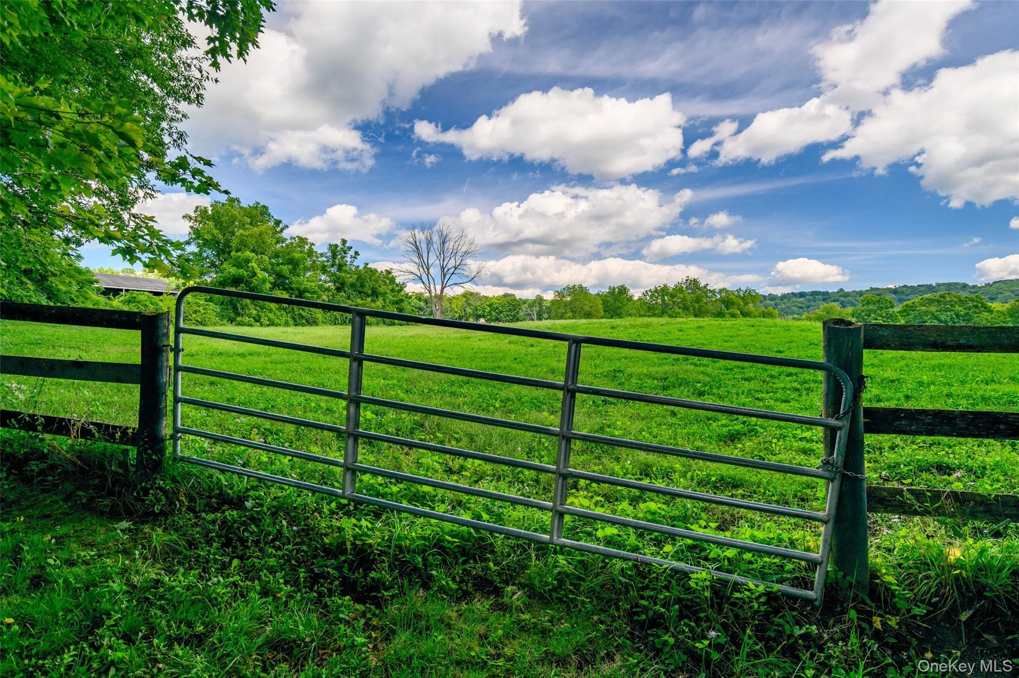 Beautiful view from the front door of the home overlooking the gate to the Akindale Rescue Beautiful view from the front door of the home overlooking the gate to the Akindale Rescue