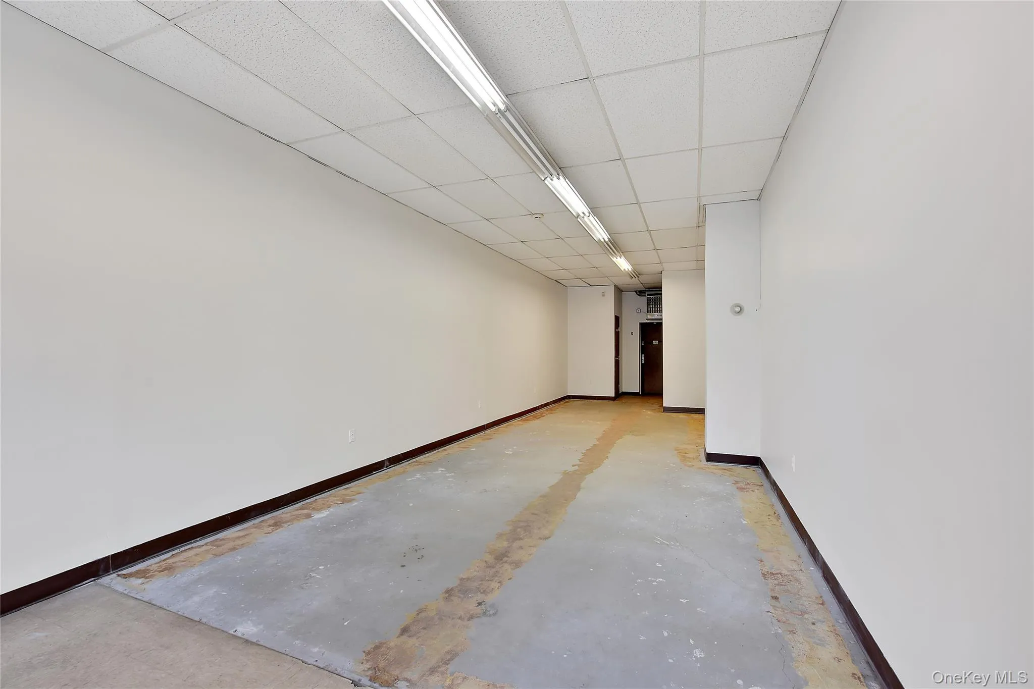 5662 Mosholu Avenue, New York, NY, ,Commercial Lease,For Rent,Mosholu,0,1047974 5662 Mosholu Avenue, New York, NY, ,Commercial Lease,For Rent,Mosholu,0,1047974