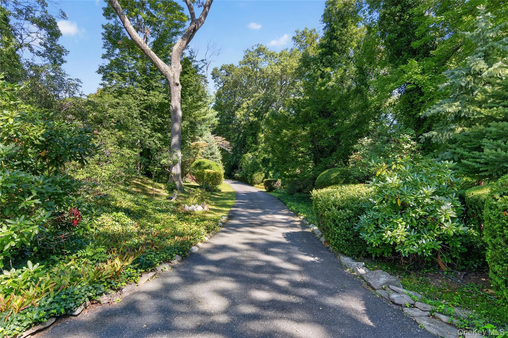10 Holden Lane, Oyster Bay, NY, 5 Bedrooms Bedrooms, 9 Rooms Rooms,3 BathroomsBathrooms,Residential,For Rent,Holden,0,1048006 10 Holden Lane, Oyster Bay, NY, 5 Bedrooms Bedrooms, 9 Rooms Rooms,3 BathroomsBathrooms,Residential,For Rent,Holden,0,1048006
