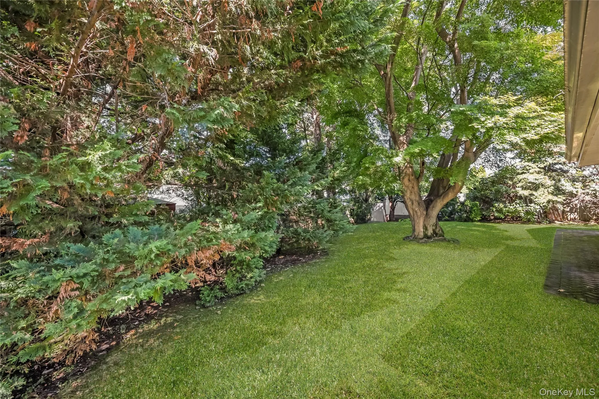 Beautiful yard with mature trees and covered patio. Grass virtually enhanced Beautiful yard with mature trees and covered patio. Grass virtually enhanced